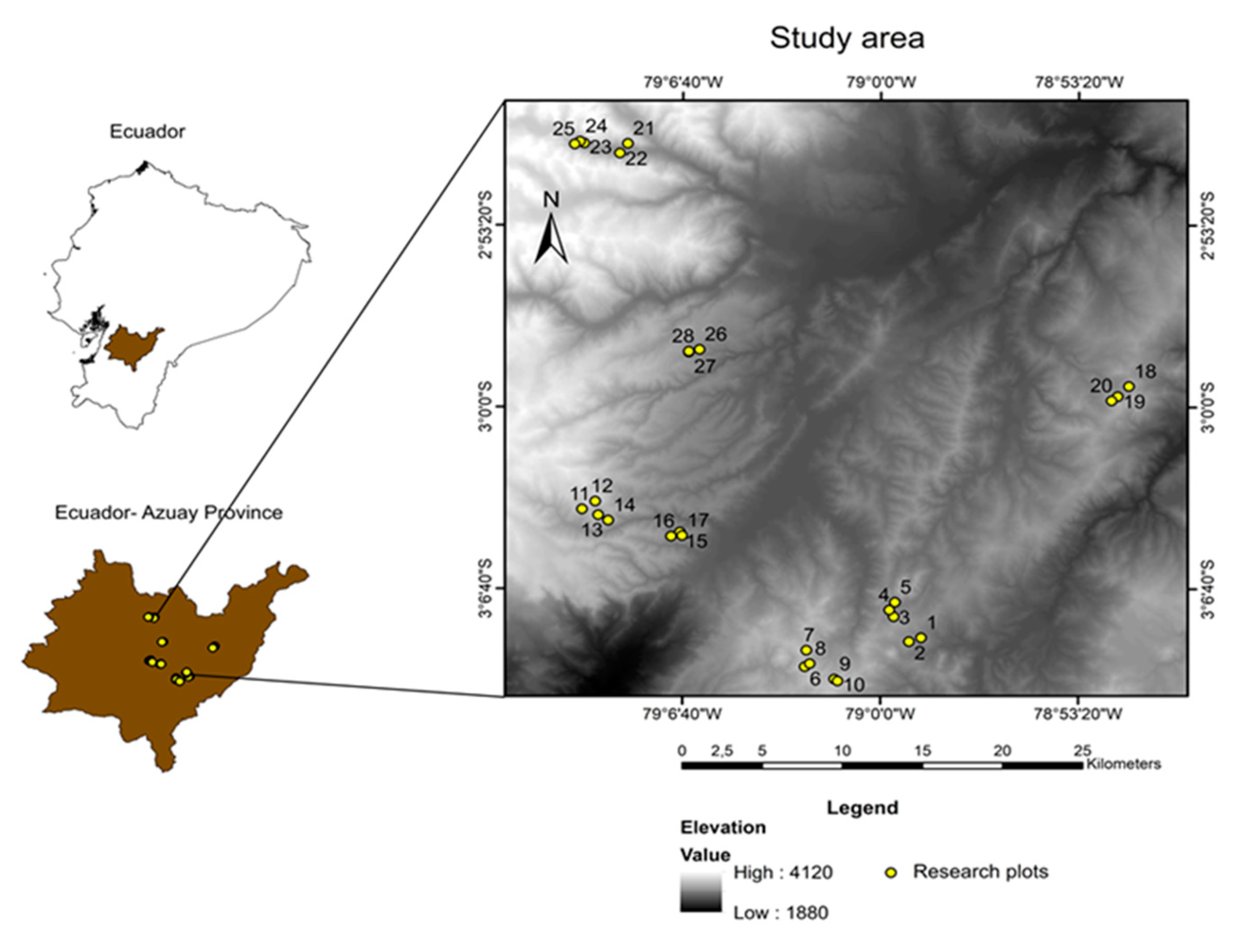 Diversity 13 00400 g001