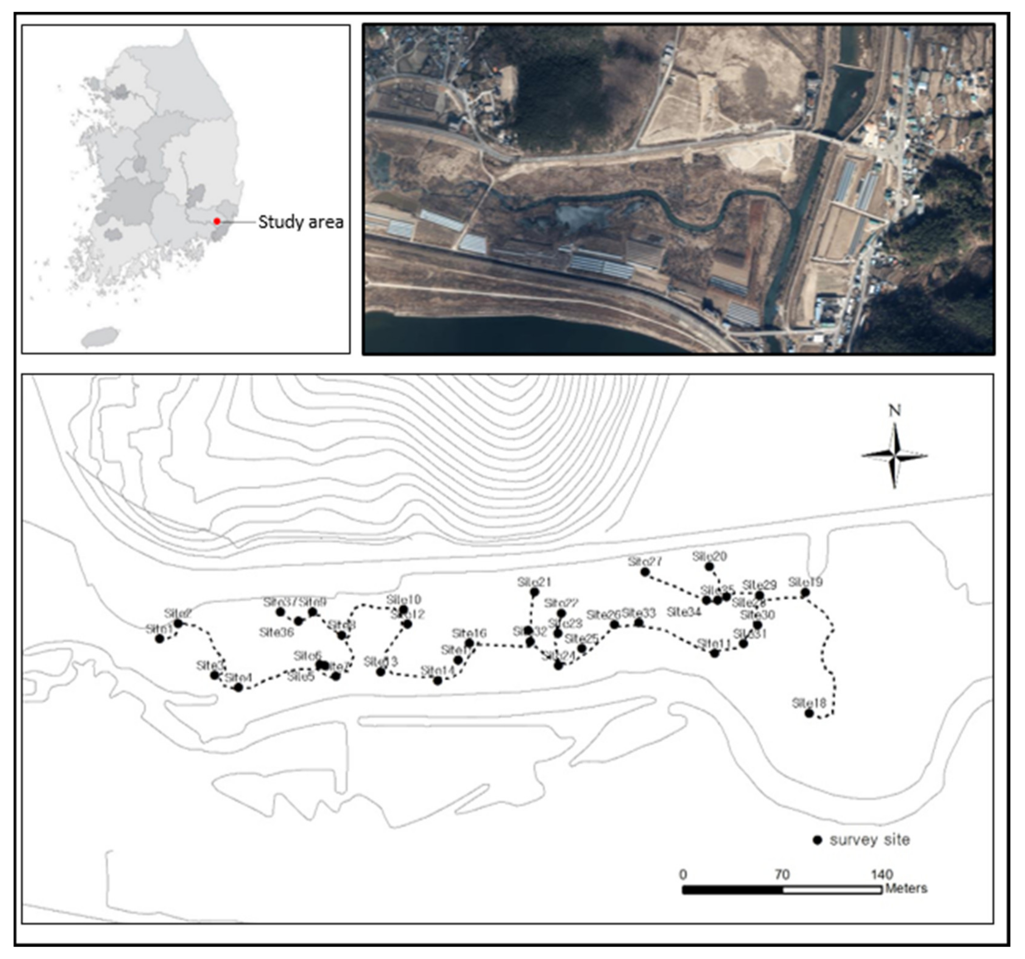 Diversity 13 00401 g002