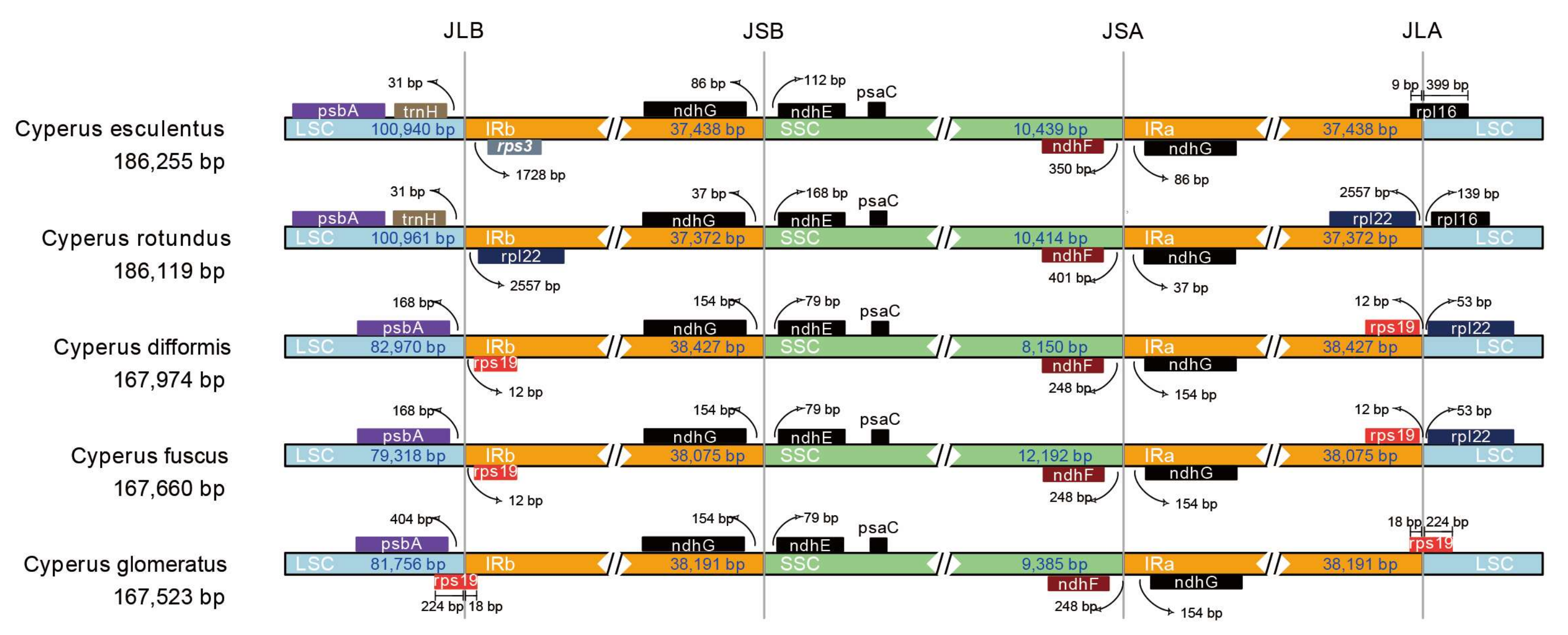 Diversity 13 00405 g002 Diversity 13 00405 g002