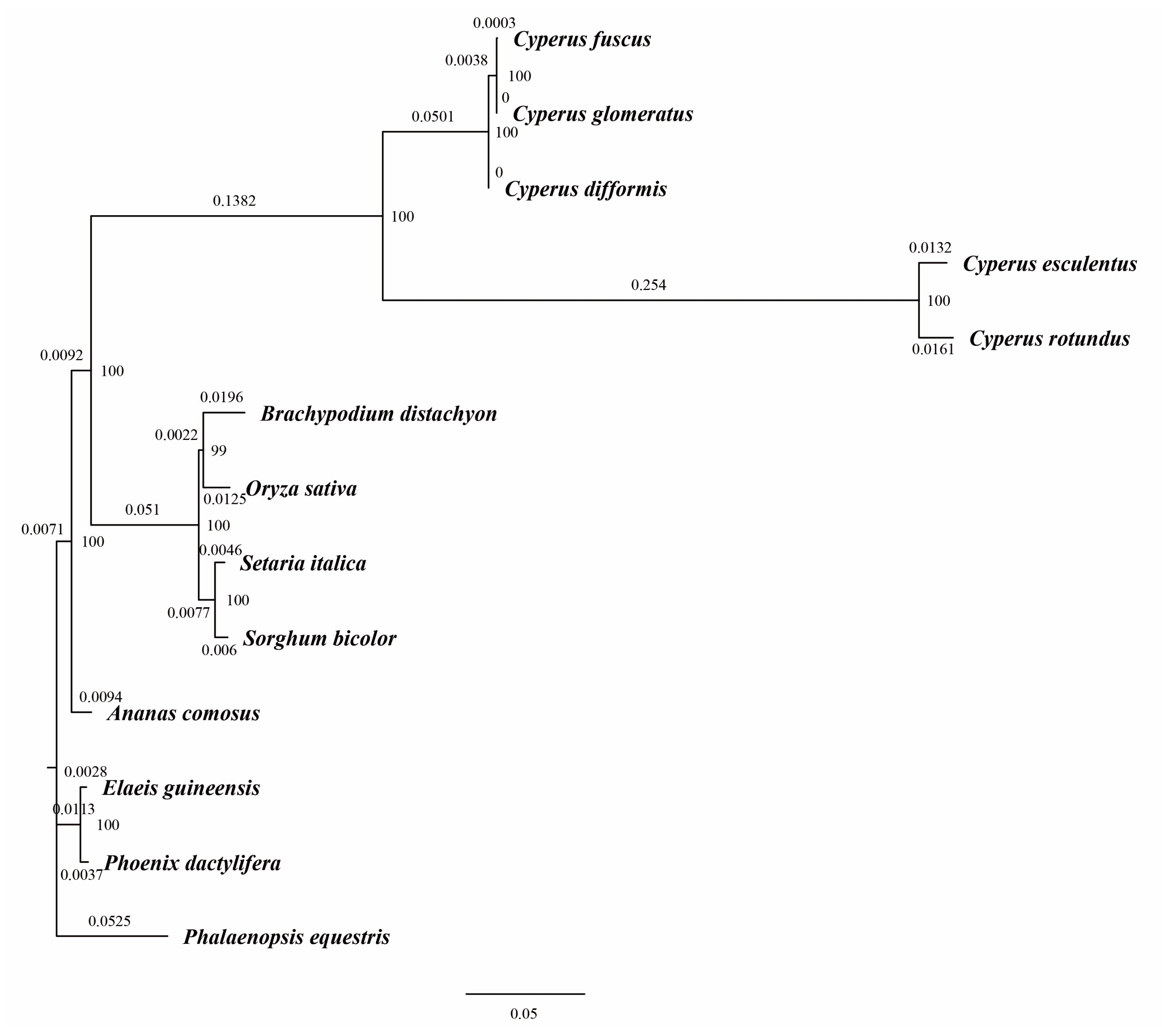 Diversity 13 00405 g005 Diversity 13 00405 g005