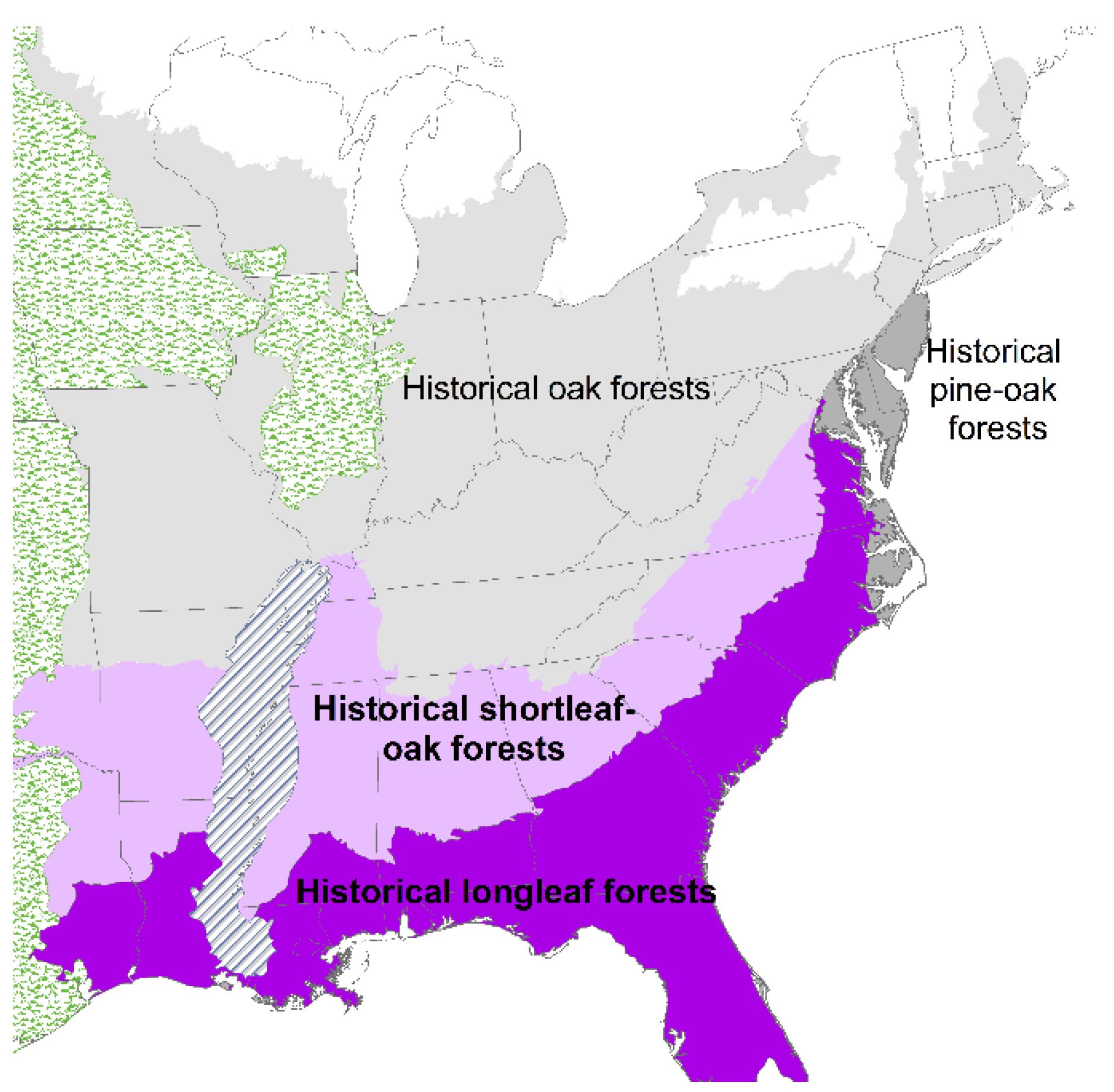 Diversity 13 00411 g001