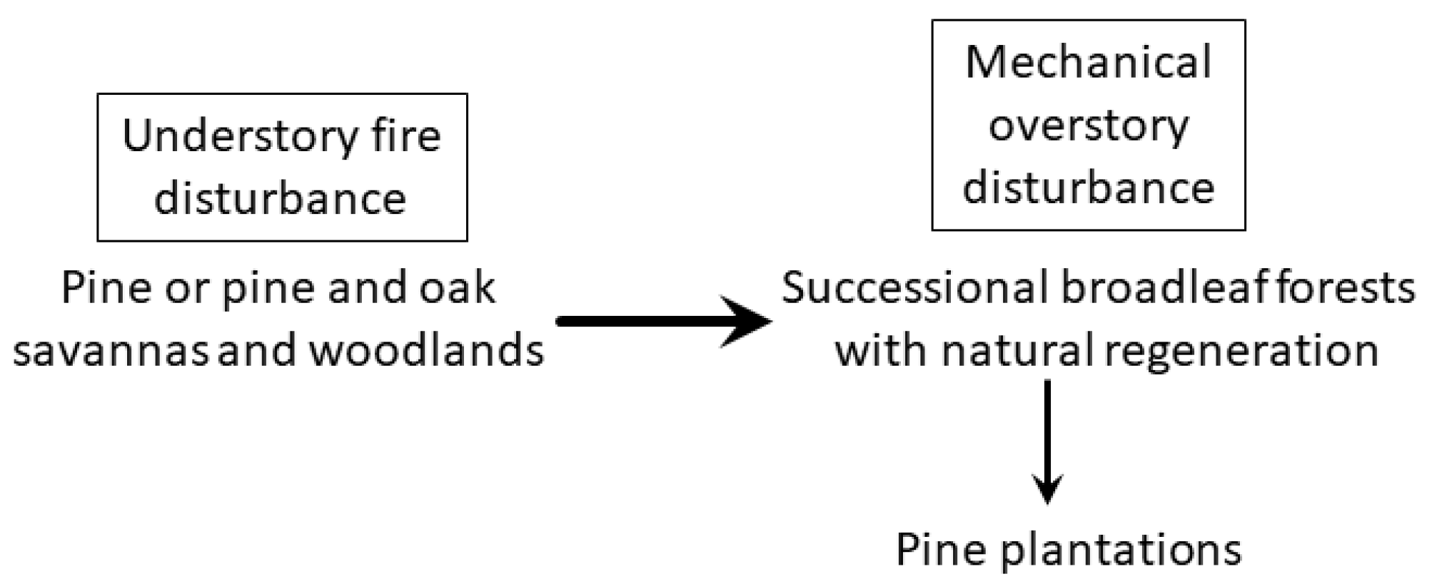 Diversity 13 00411 g003