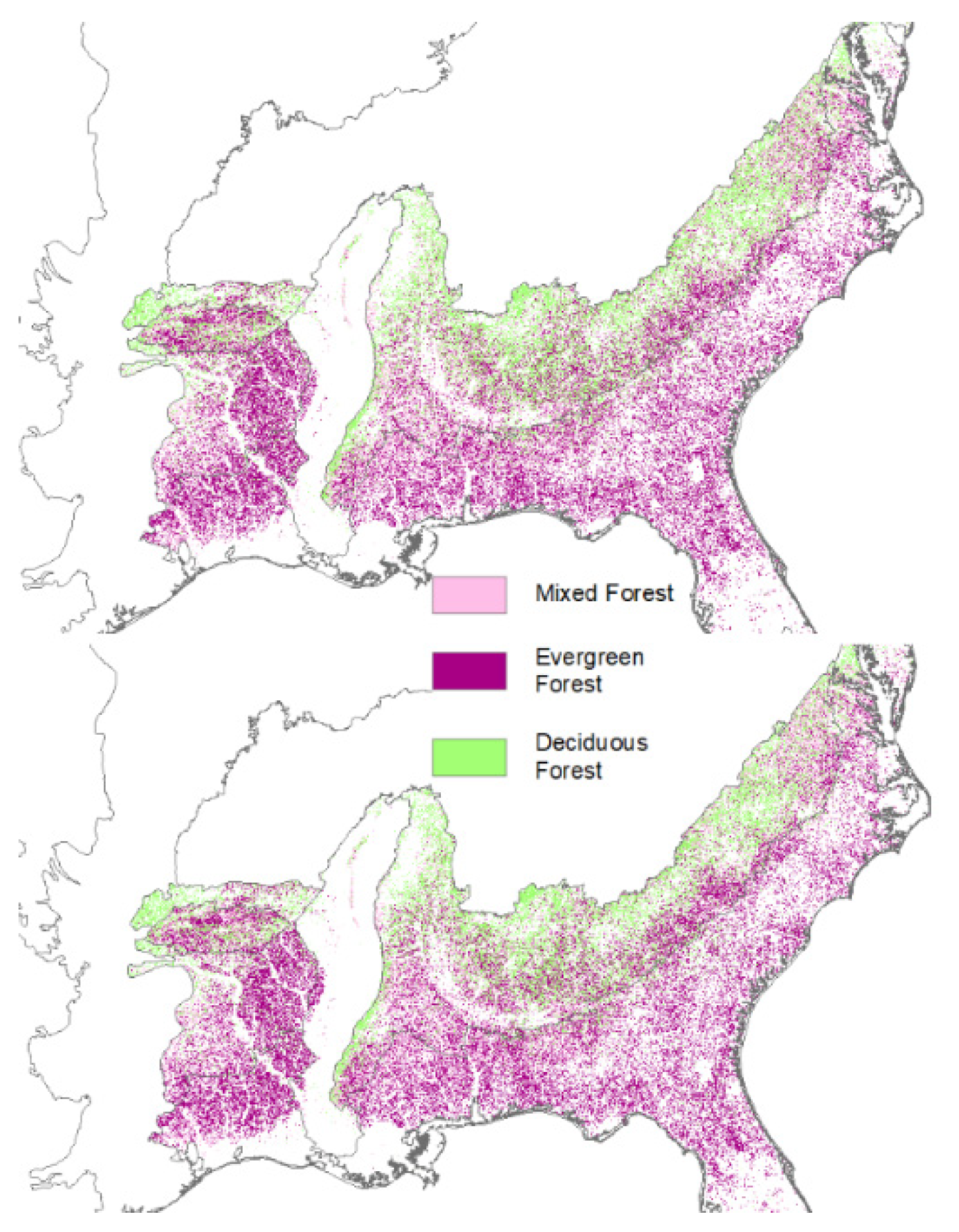 Diversity 13 00411 g006