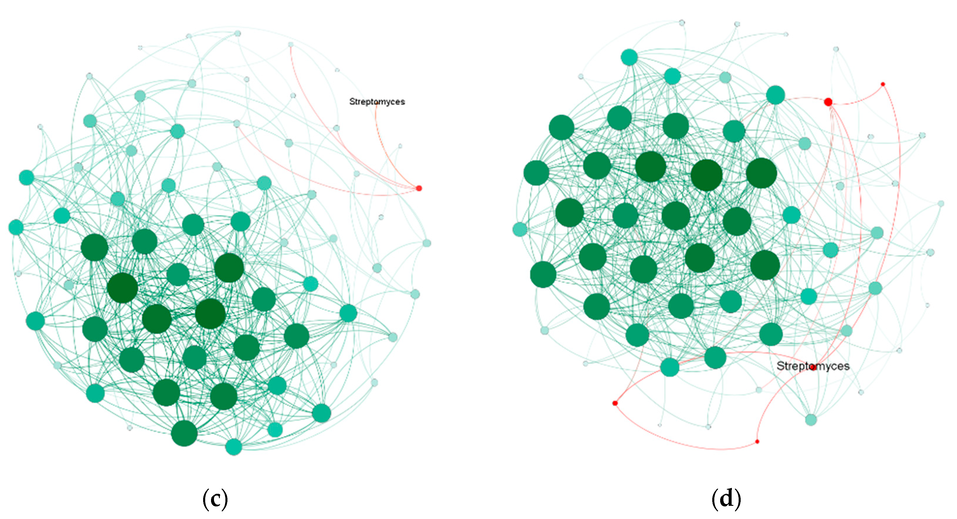 Diversity 13 00413 g005b