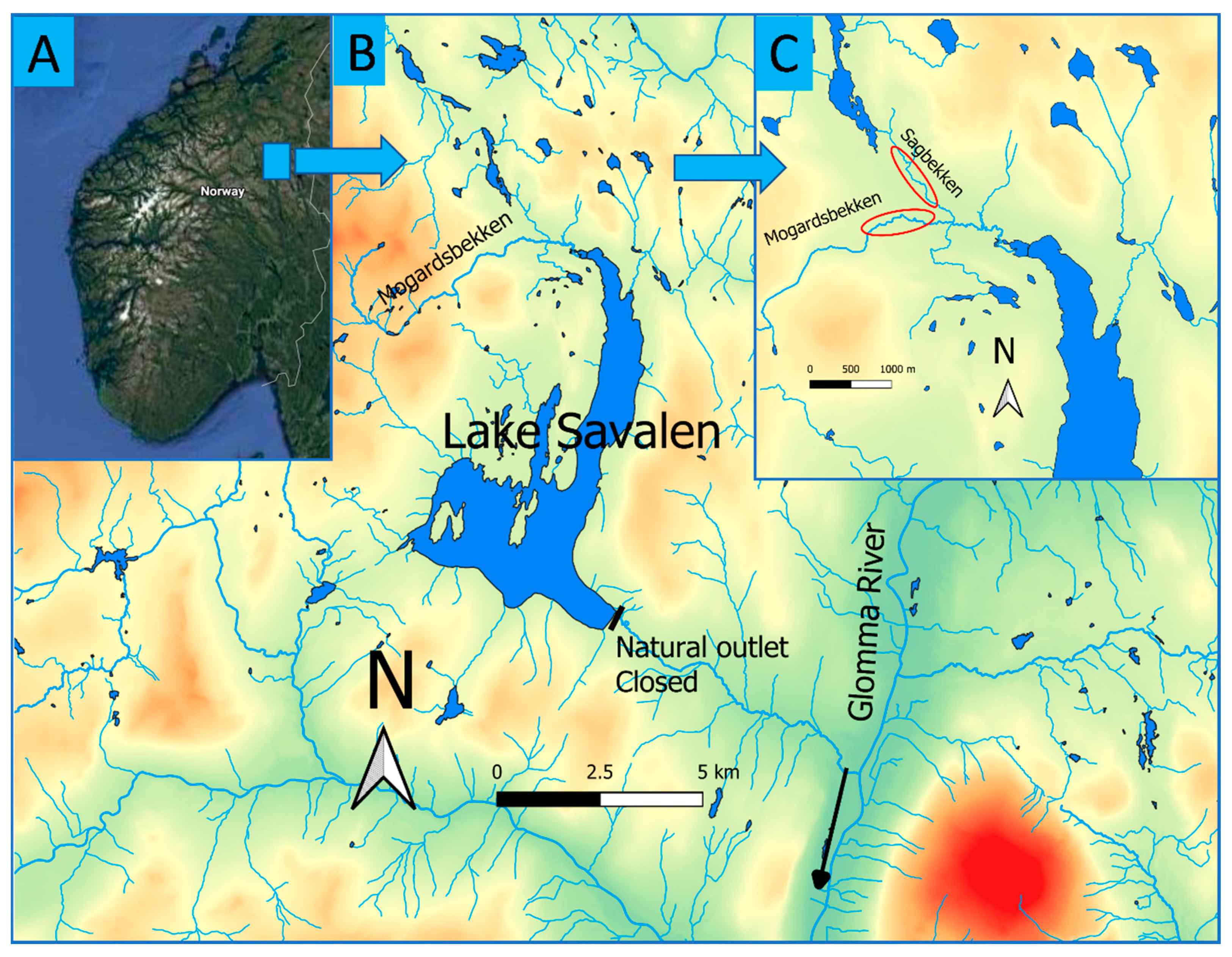 Diversity 13 00414 g001