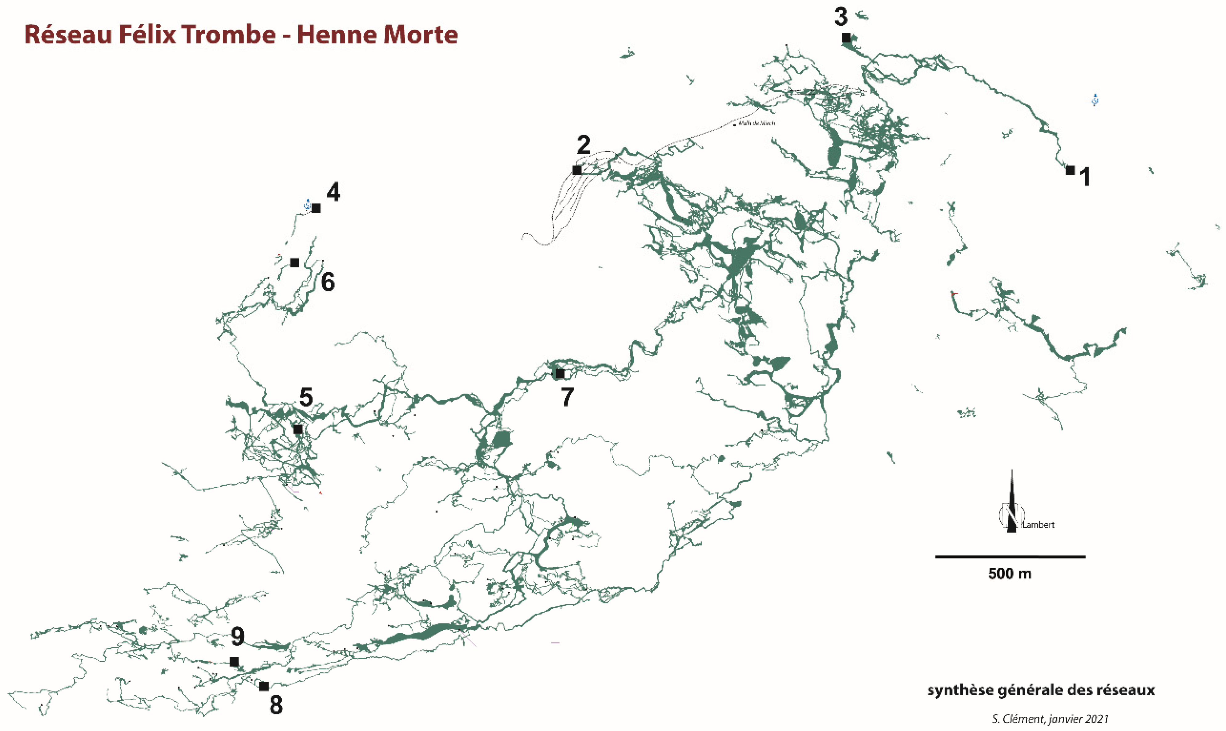 Diversity 13 00419 g002