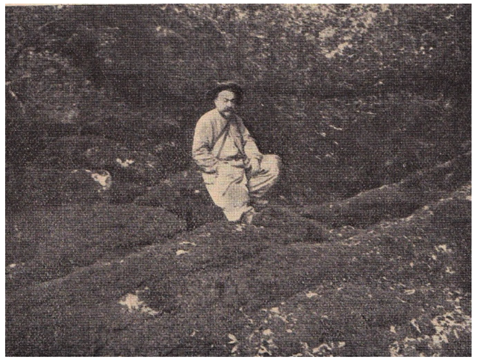 Diversity 13 00419 g004