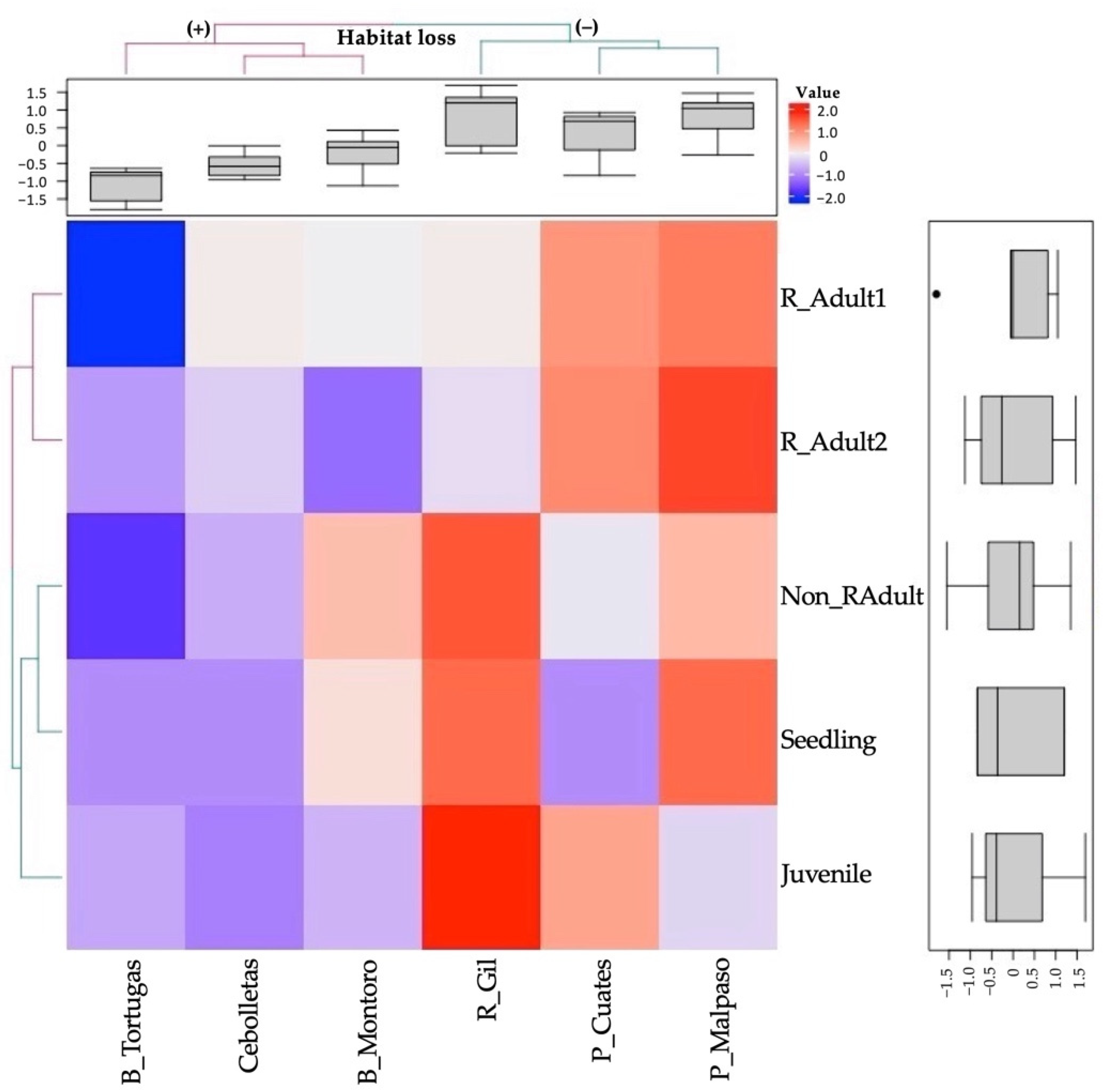 Diversity 13 00421 g004 Diversity 13 00421 g004