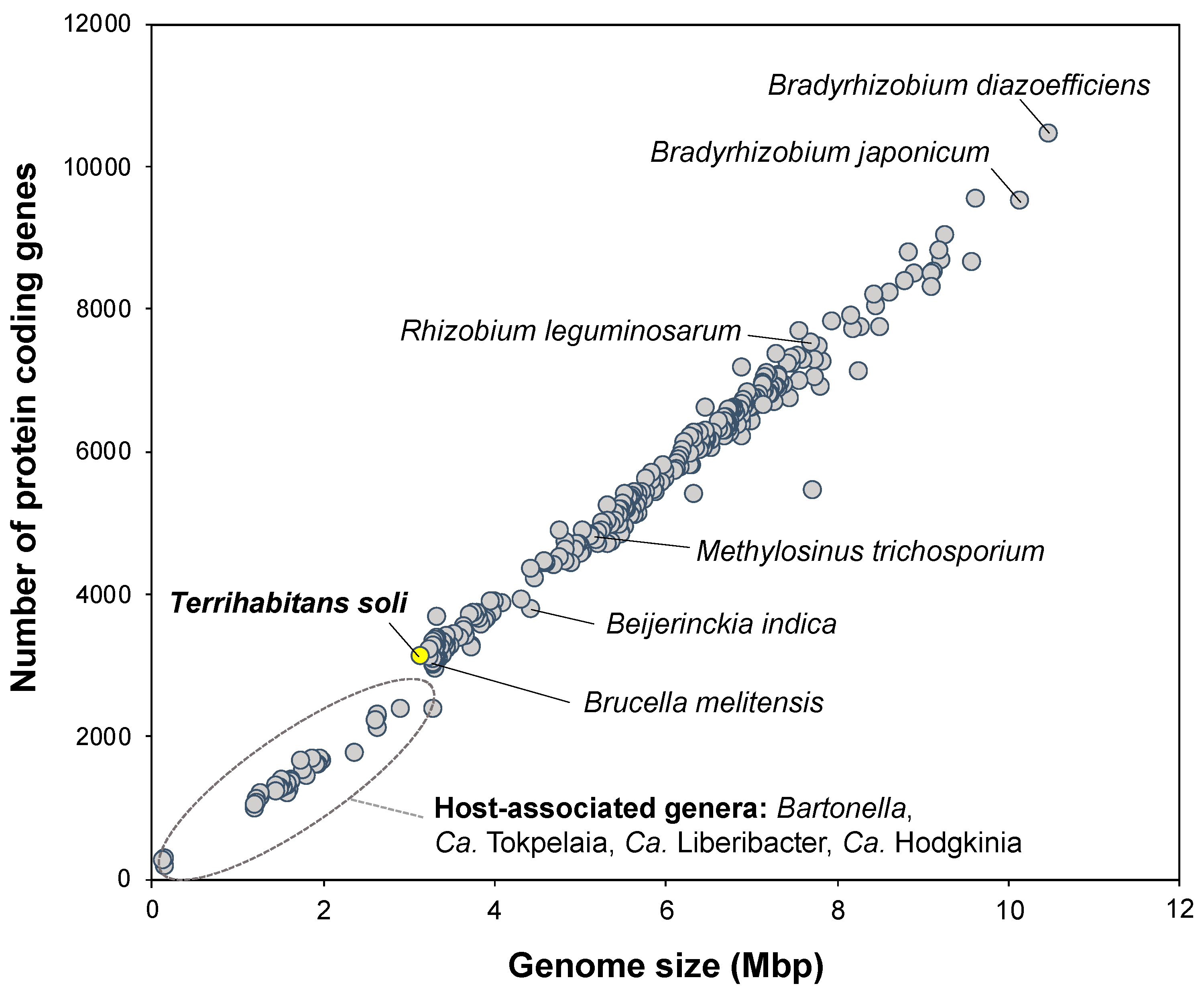 Diversity 13 00422 g002 Diversity 13 00422 g002
