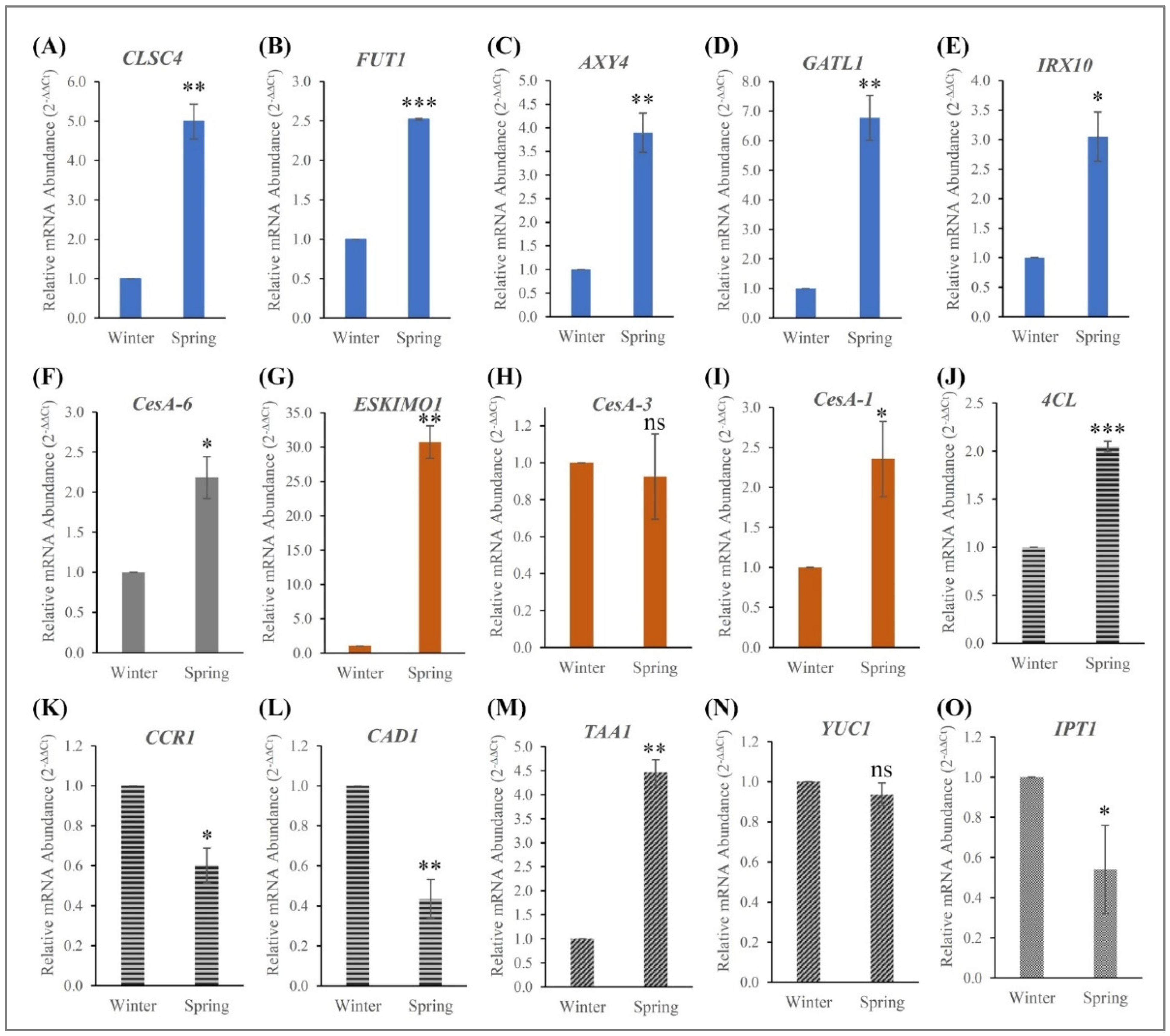 Diversity 13 00423 g006