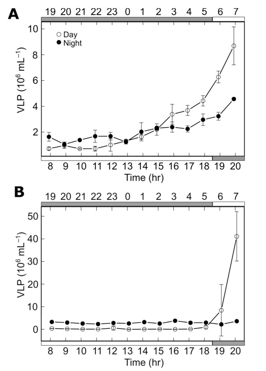 Diversity 13 00426 g001 Diversity 13 00426 g001