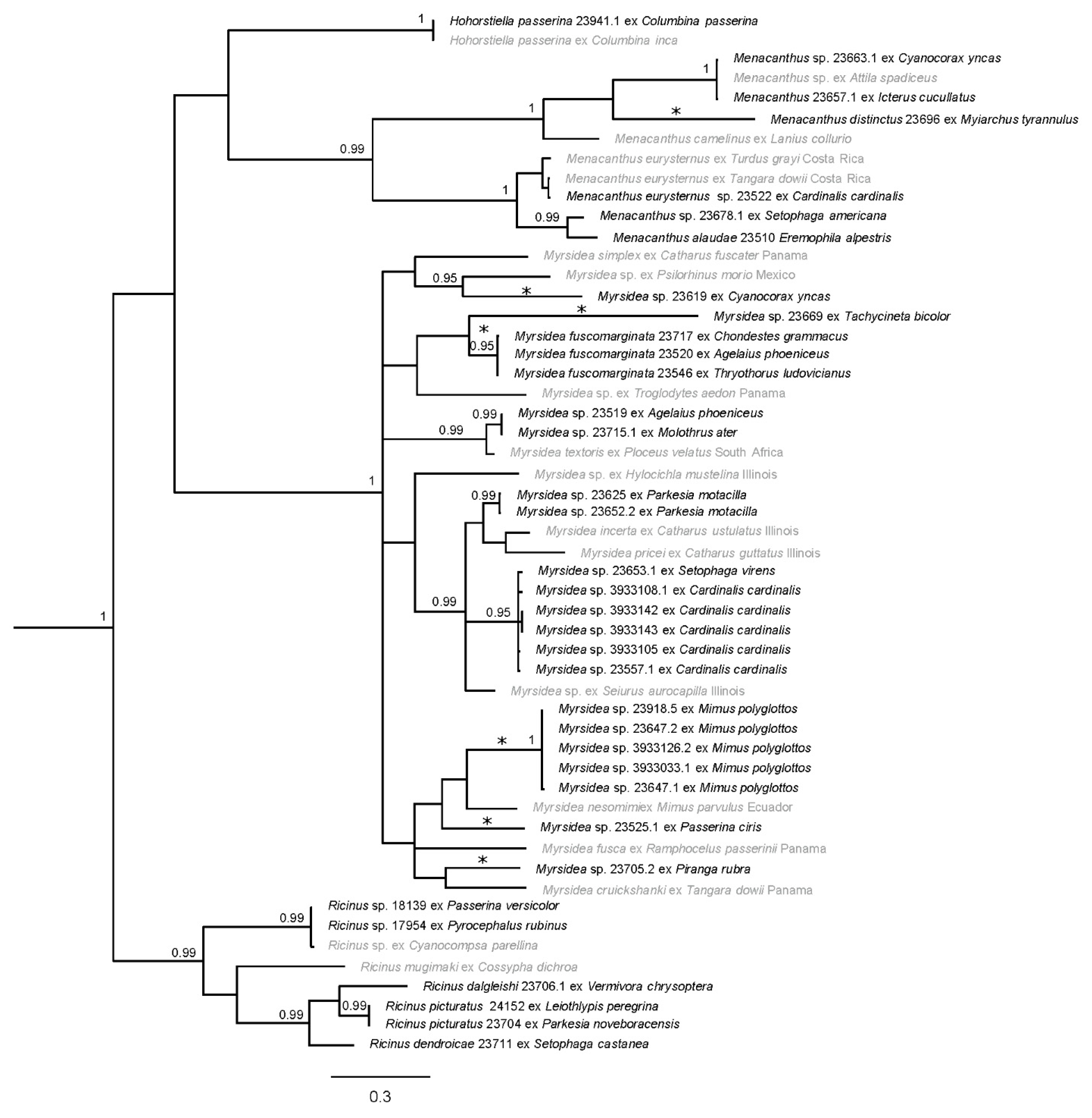 Diversity 13 00430 g002 Diversity 13 00430 g002