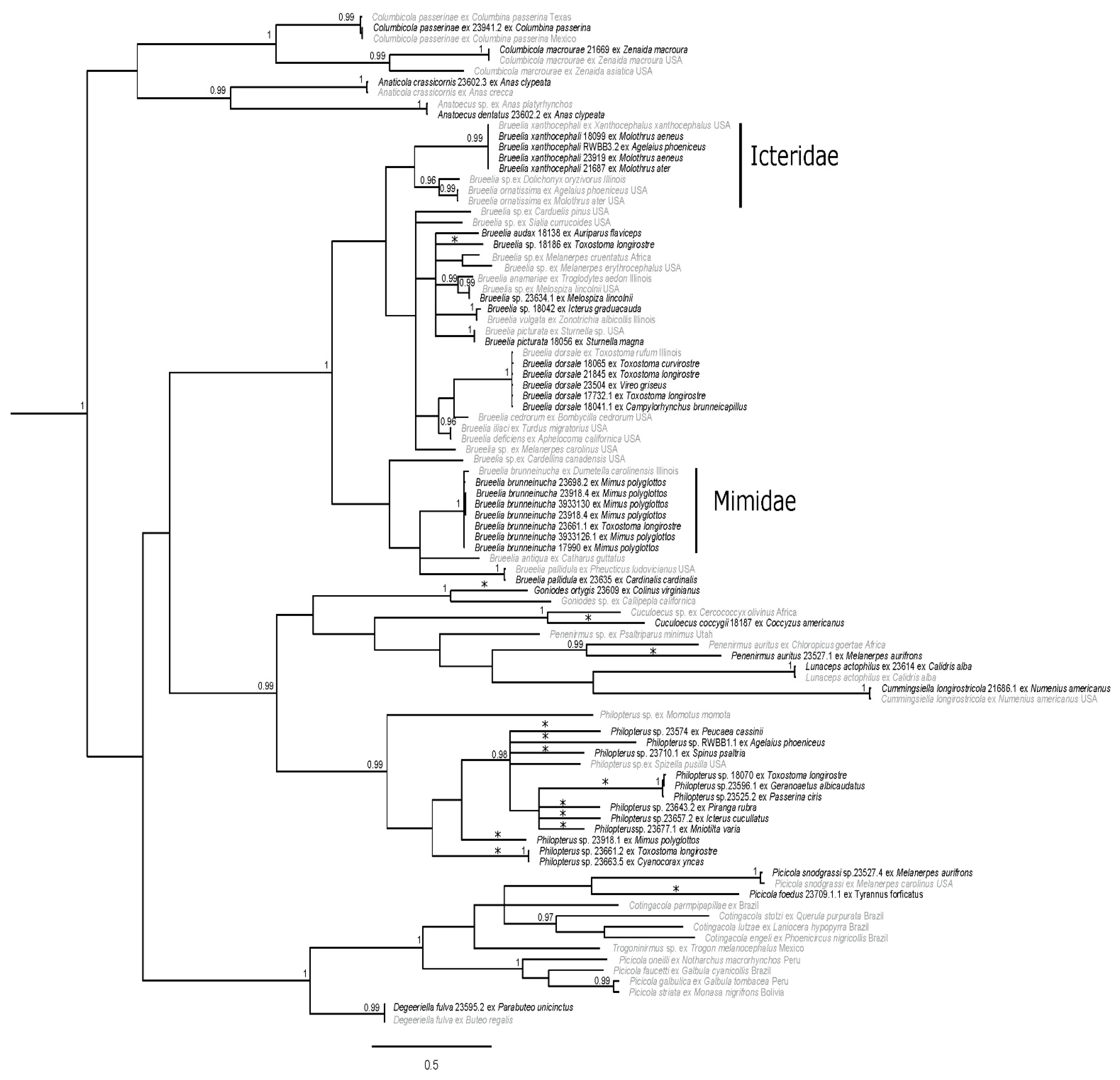 Diversity 13 00430 g003 Diversity 13 00430 g003