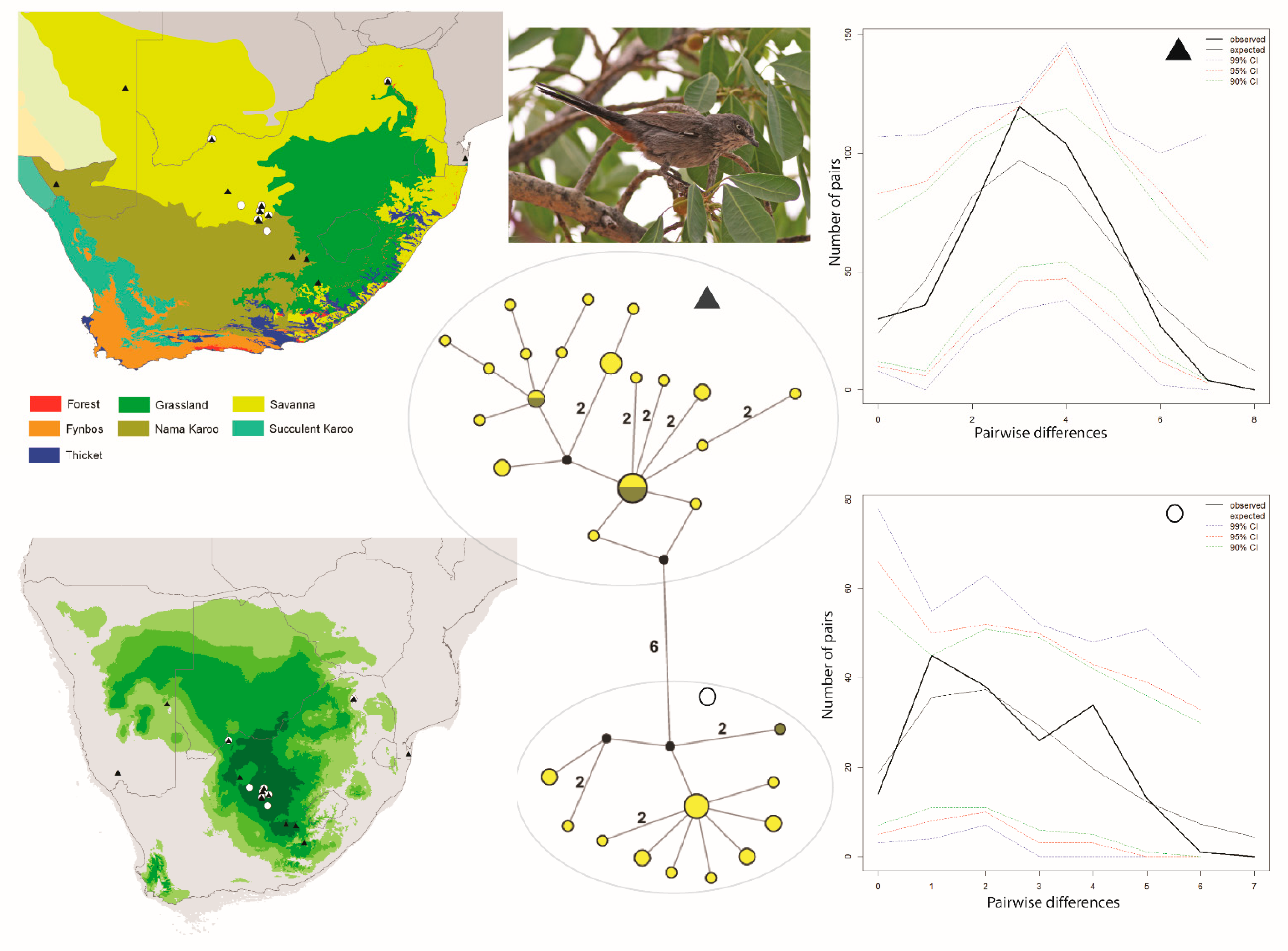 Diversity 13 00434 g001 550