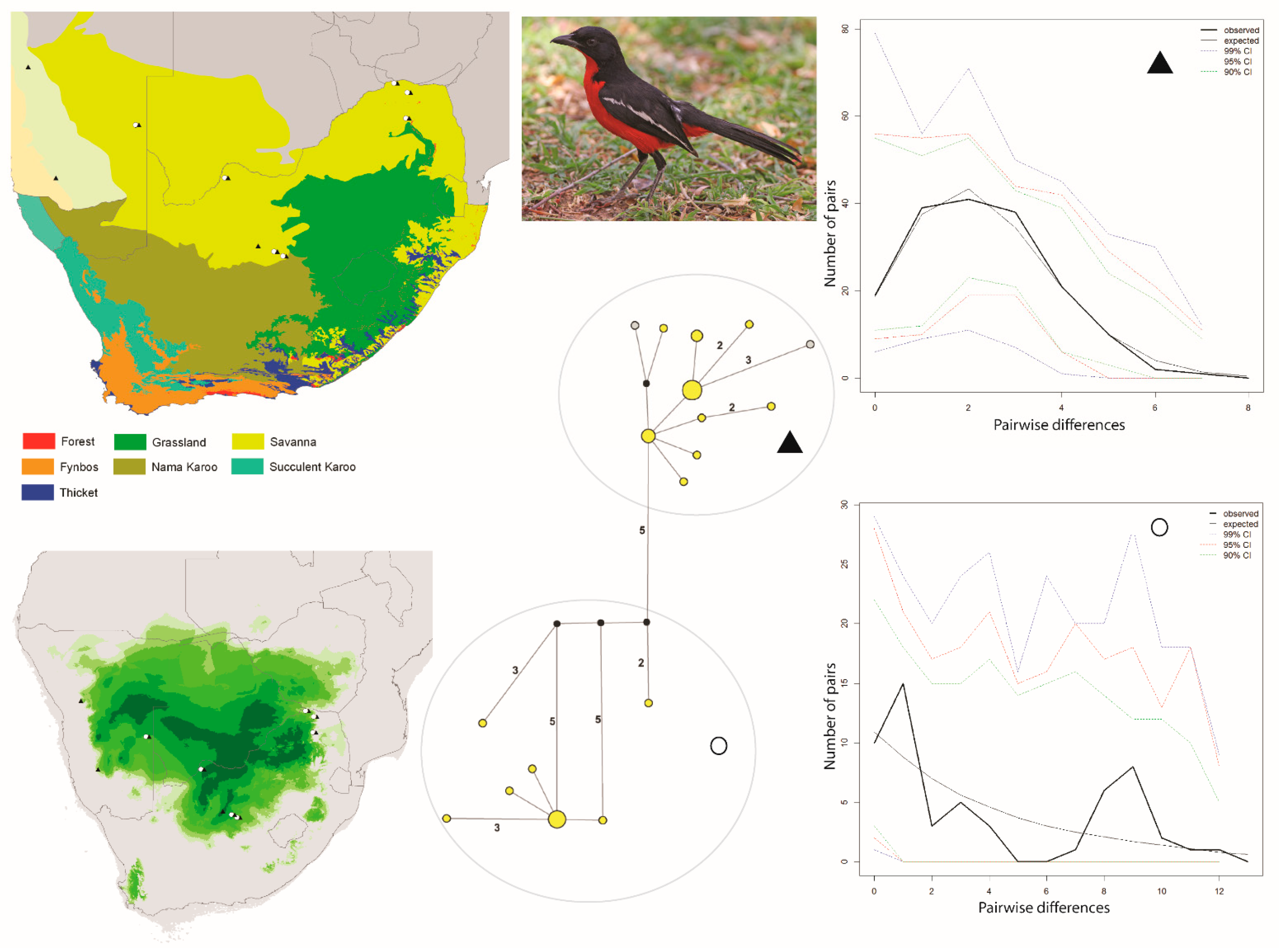 Diversity 13 00434 g002 550