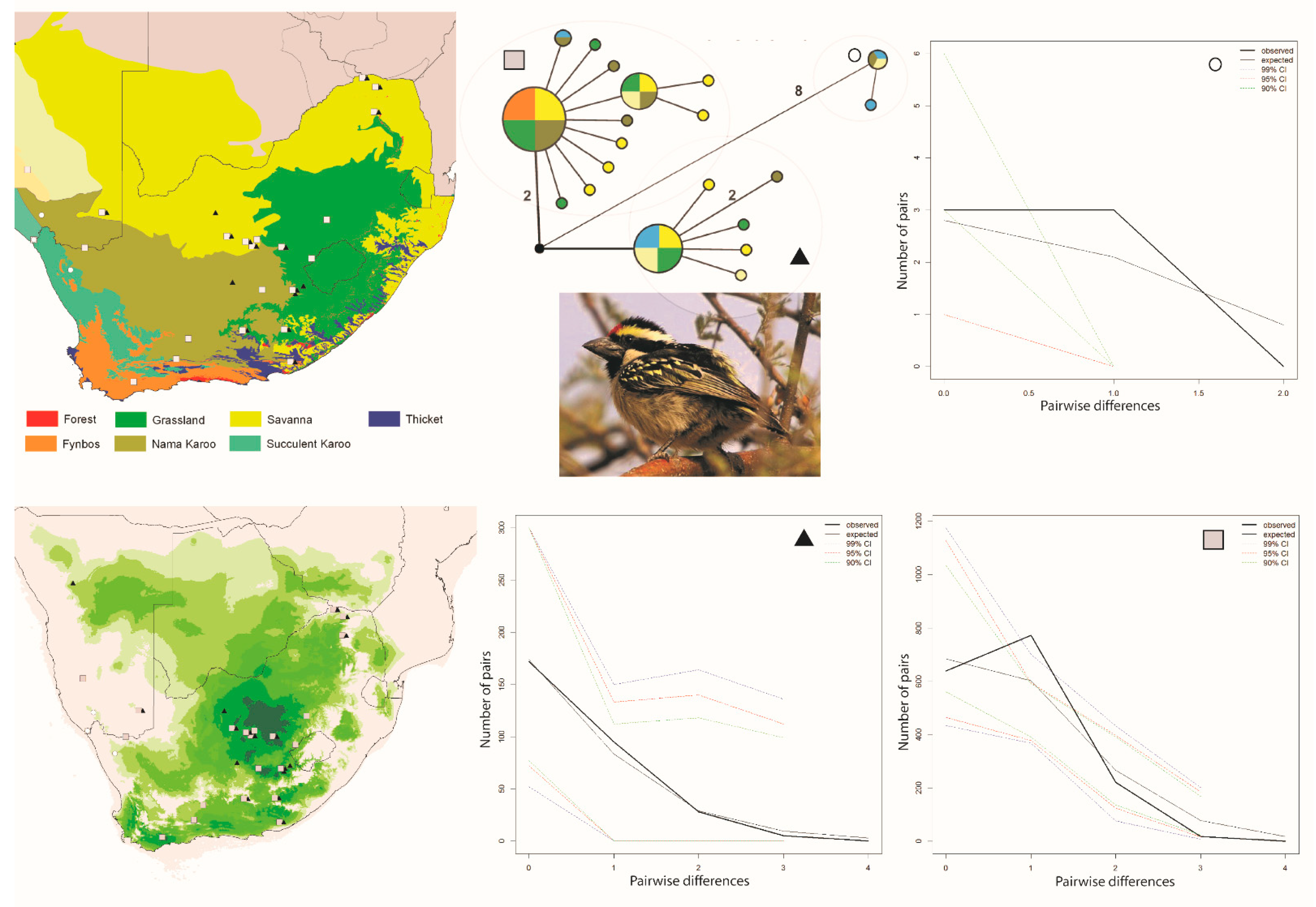 Diversity 13 00434 g003 550