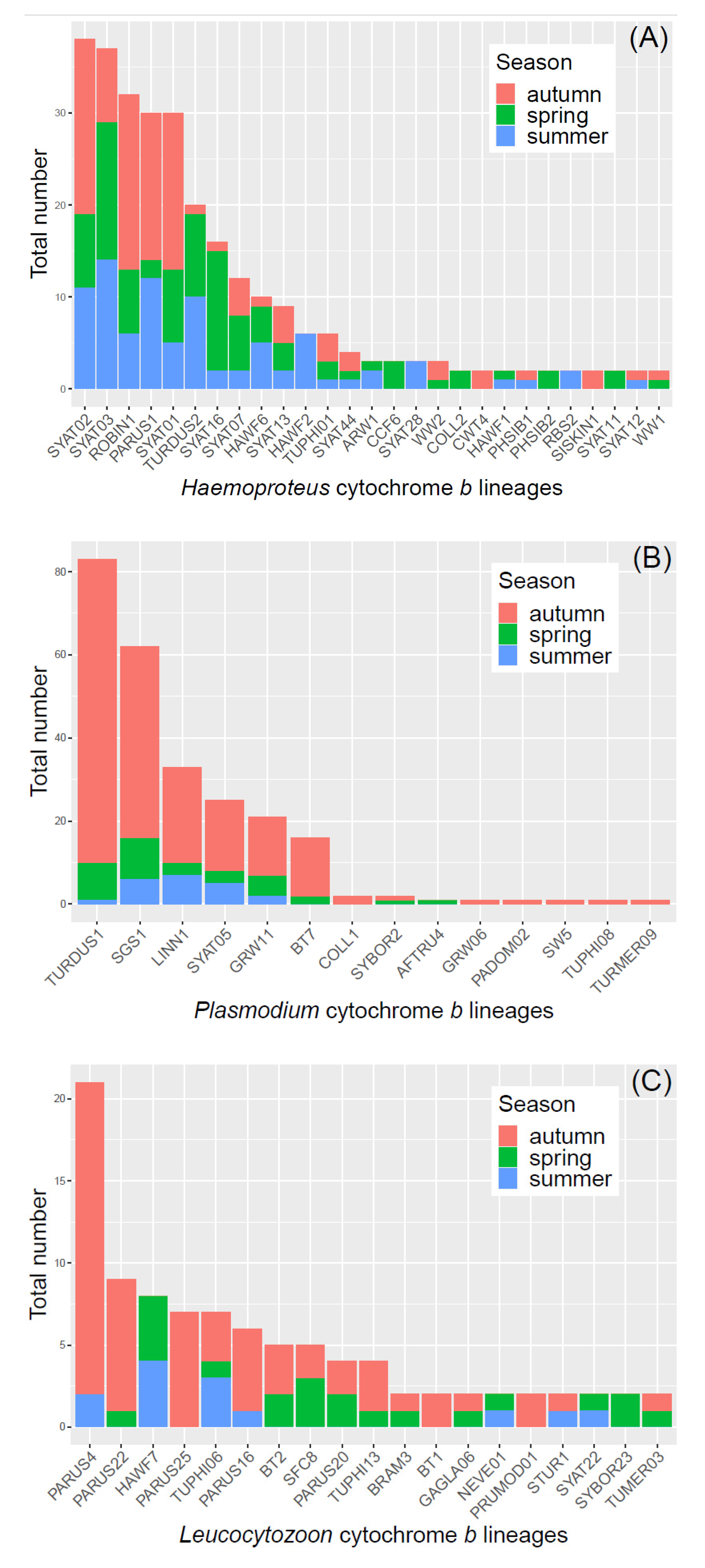 Diversity 13 00439 g004 Diversity 13 00439 g004