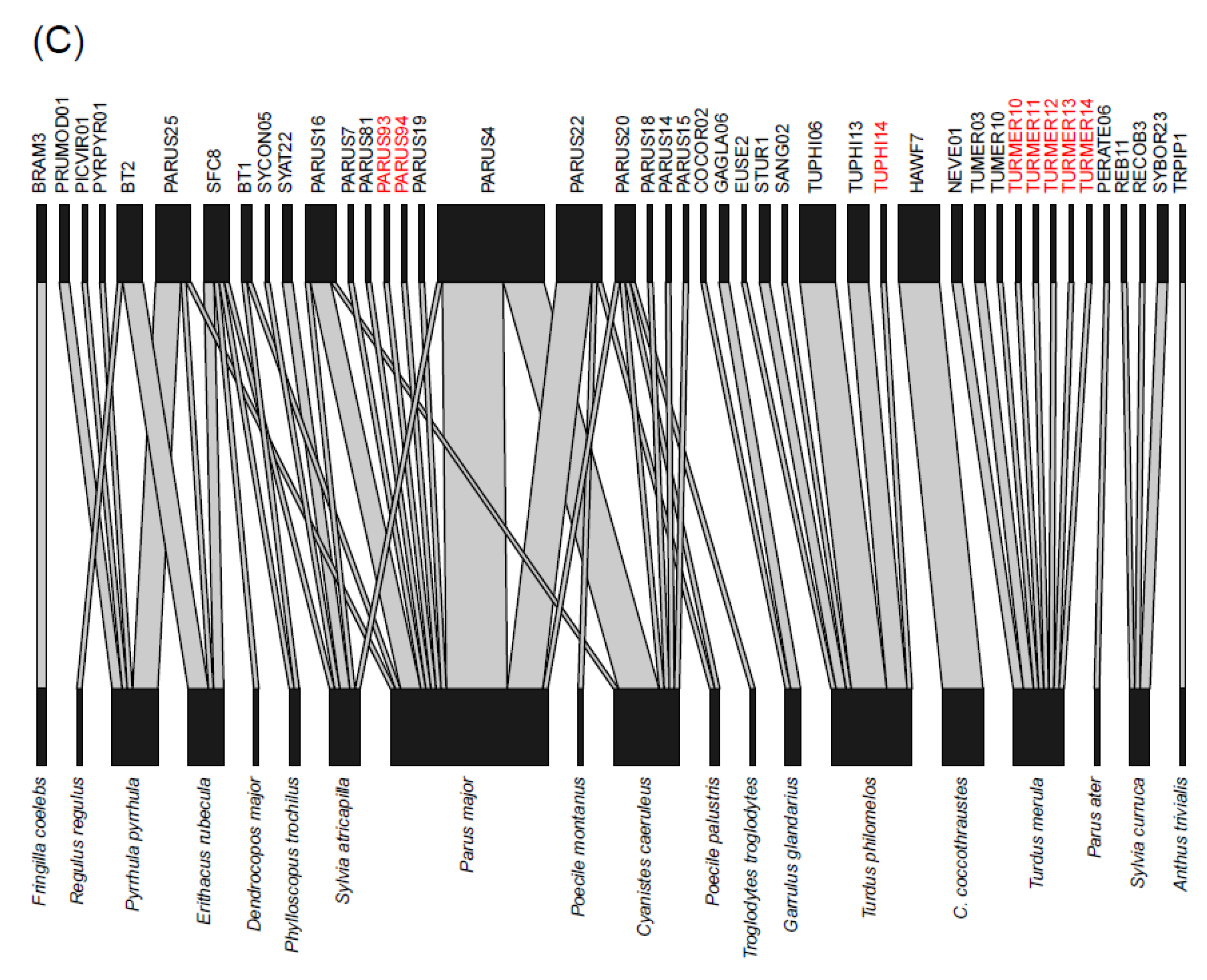 Diversity 13 00439 g006b Diversity 13 00439 g006b