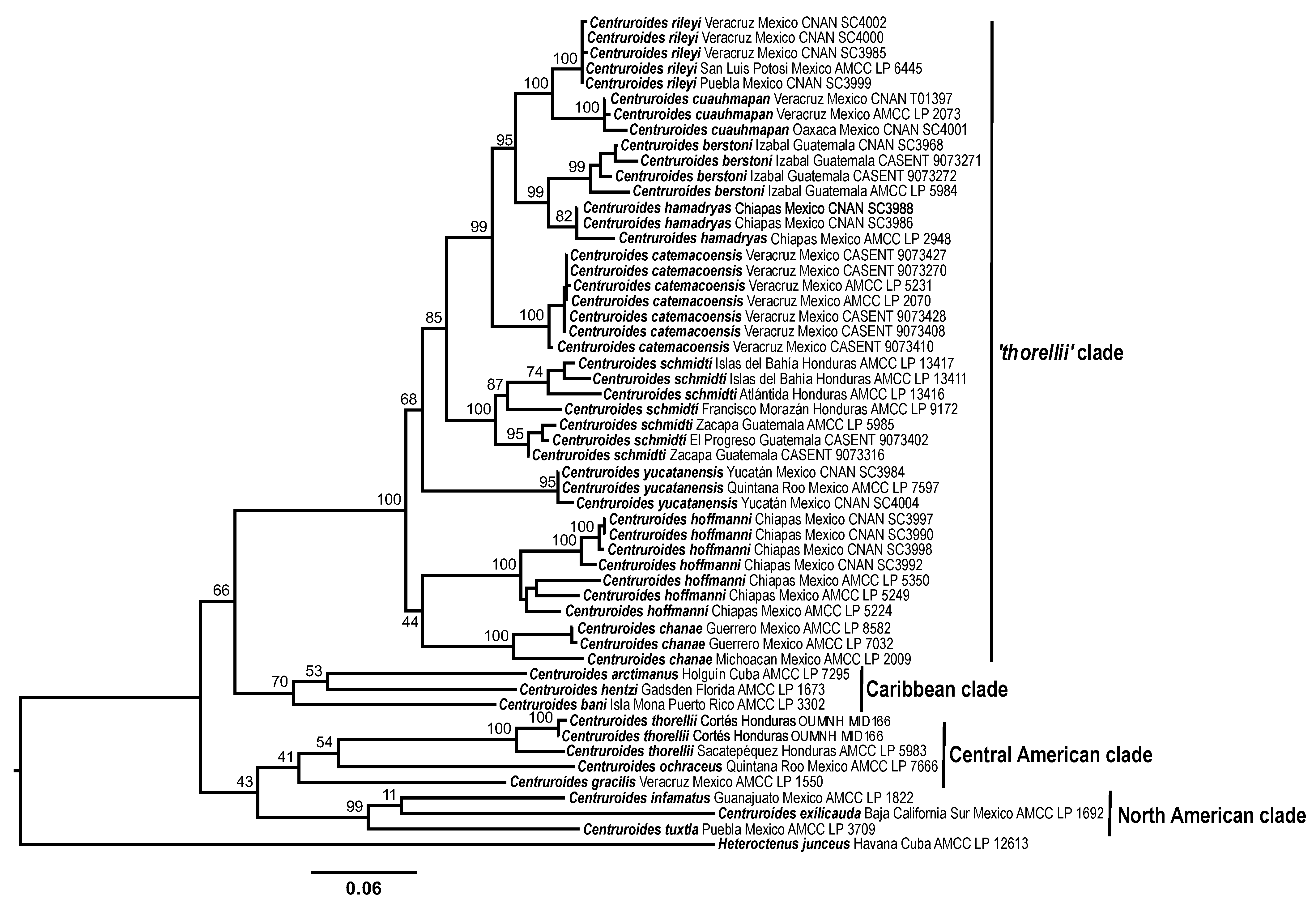 Diversity 13 00441 g002