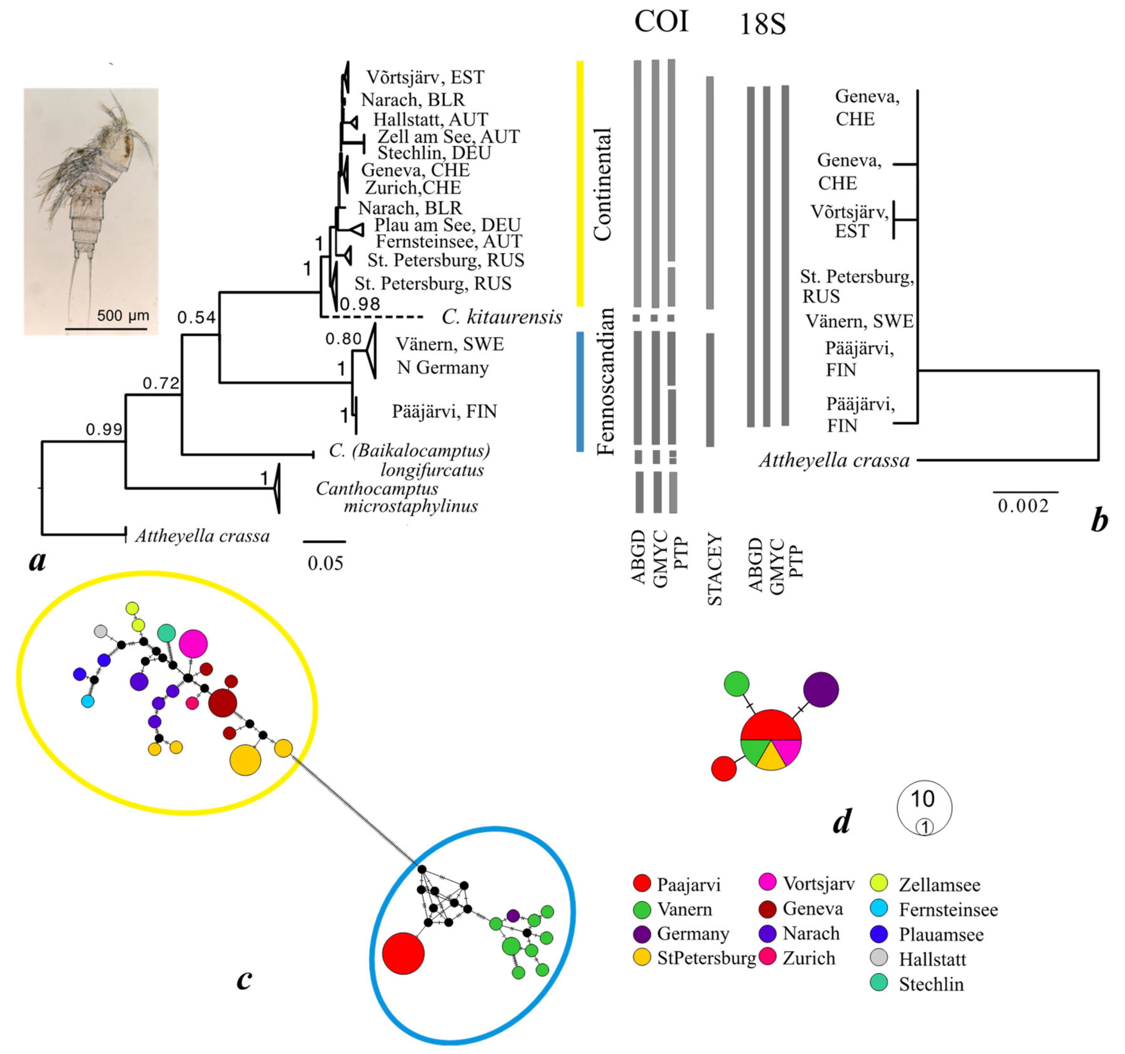 Diversity 13 00448 g002 Diversity 13 00448 g002