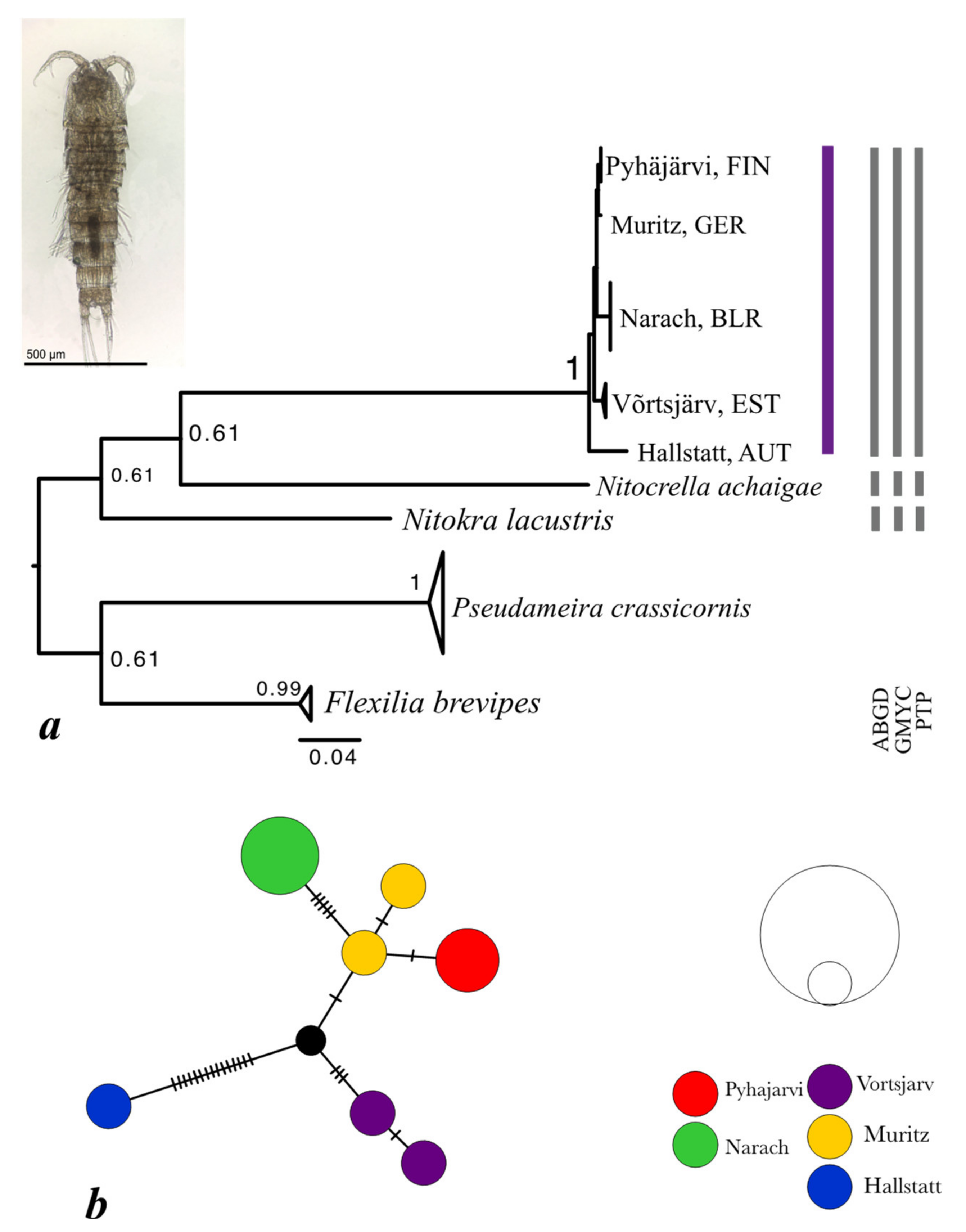 Diversity 13 00448 g004 Diversity 13 00448 g004