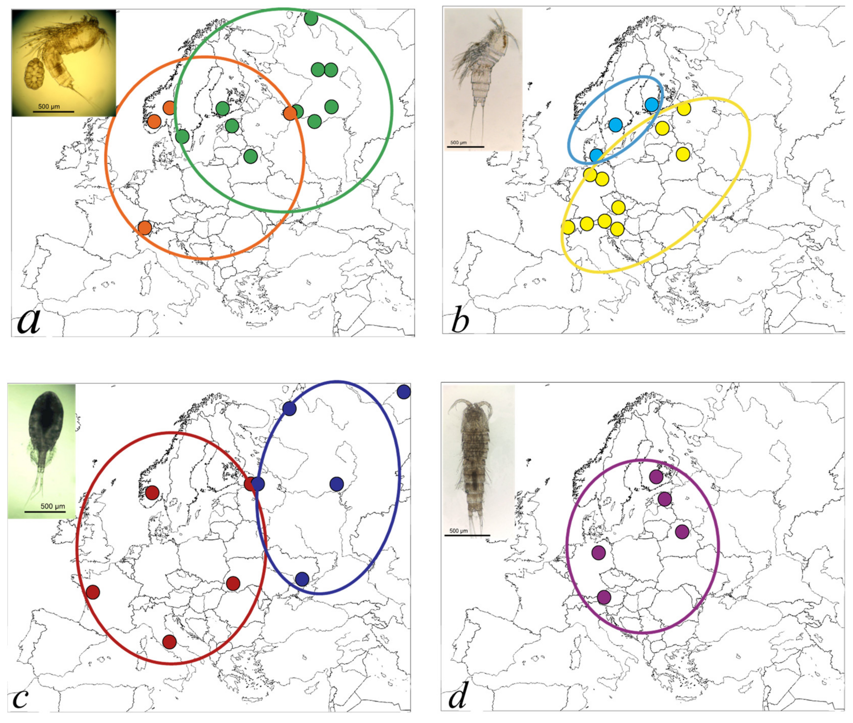 Diversity 13 00448 g005 Diversity 13 00448 g005