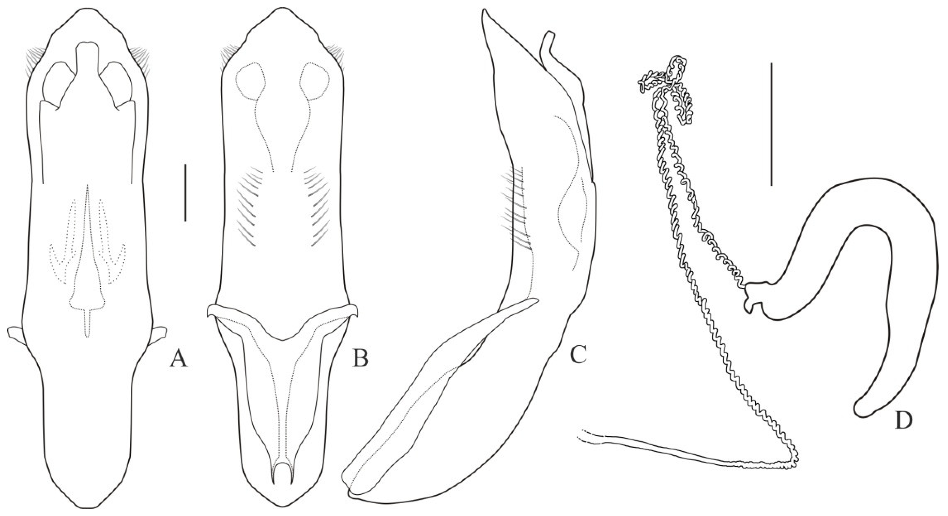 Diversity 13 00451 g002 Diversity 13 00451 g002