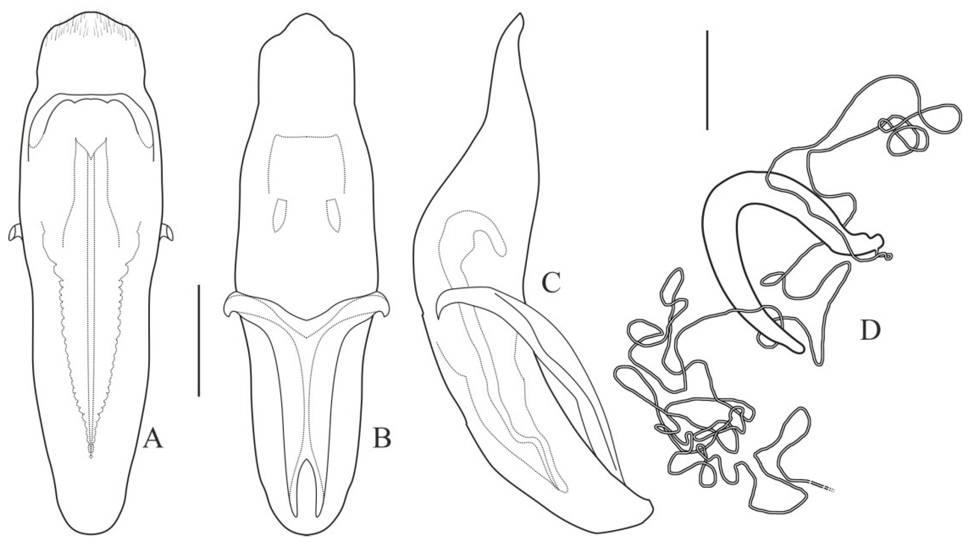 Diversity 13 00451 g006 Diversity 13 00451 g006