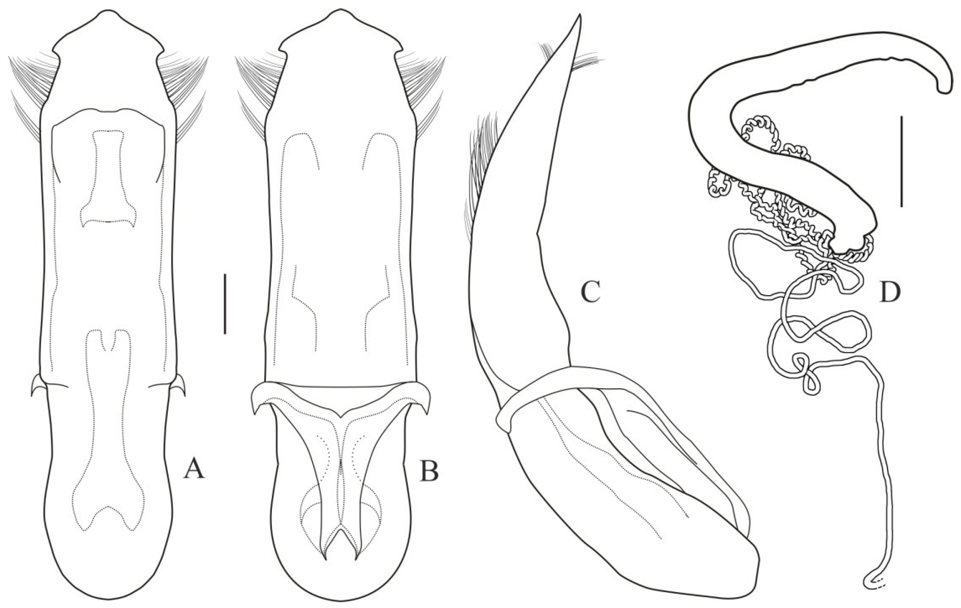 Diversity 13 00451 g013 Diversity 13 00451 g013