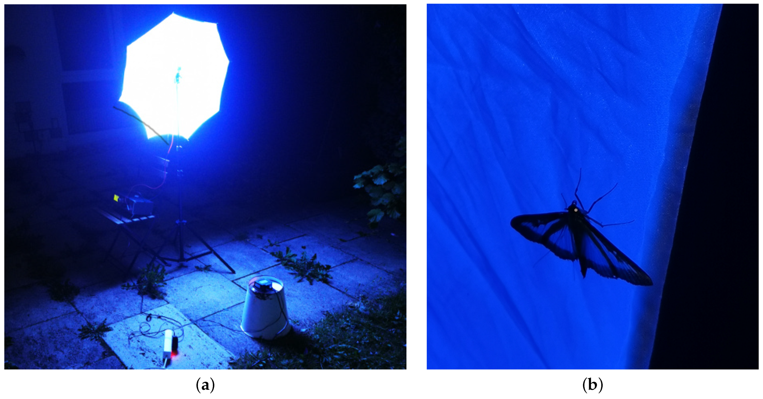 Diversity 13 00452 g0a1