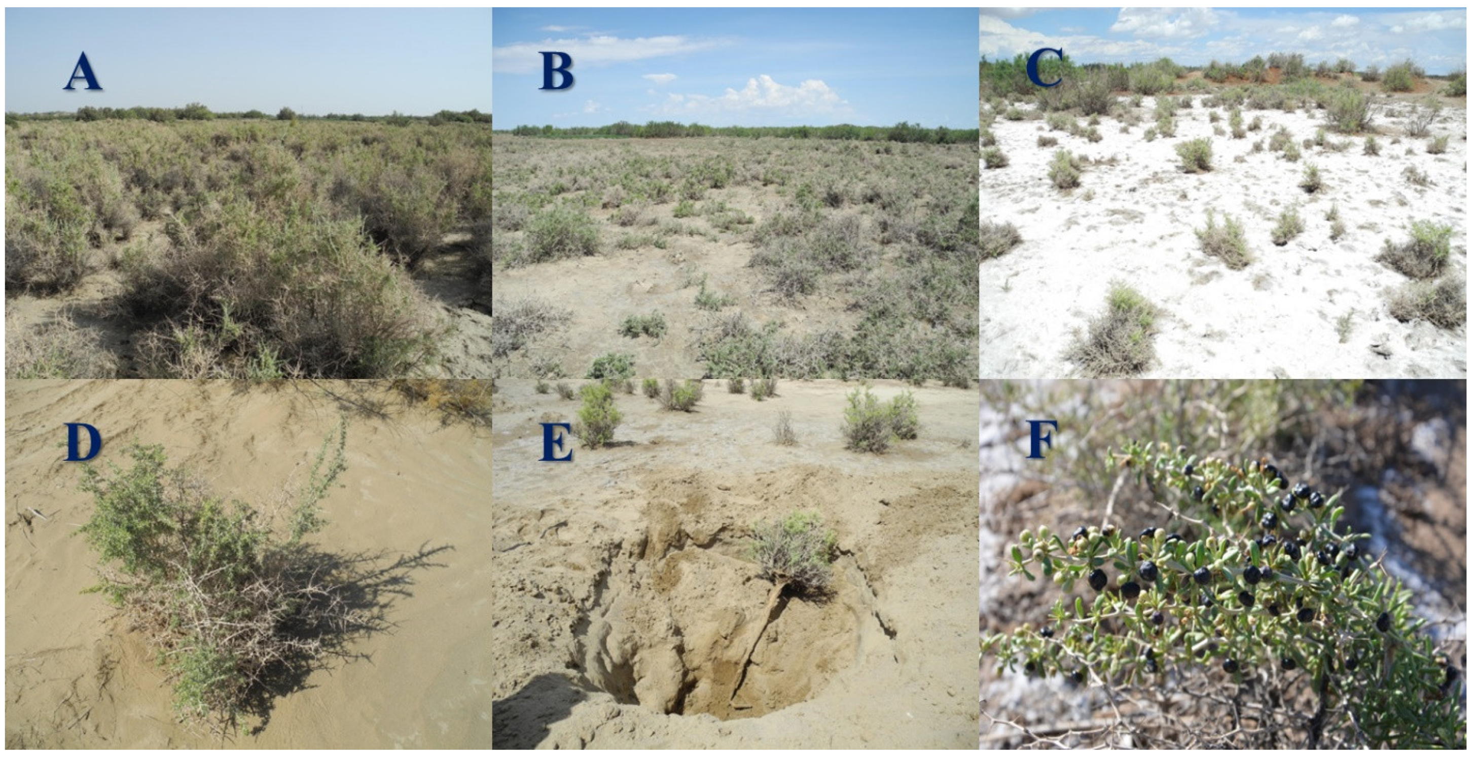 Diversity 13 00453 g001 550