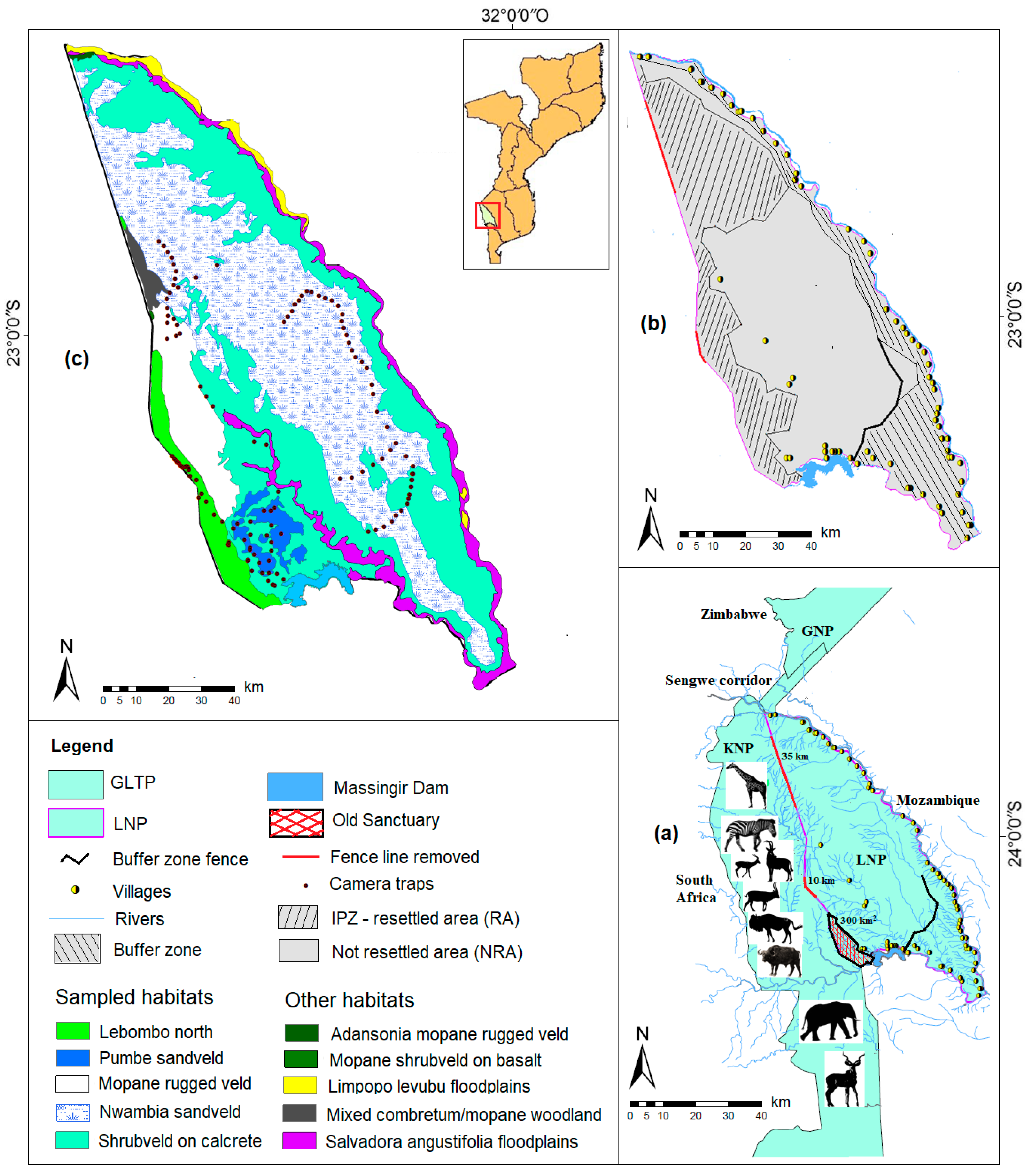 Diversity 13 00456 g001 550