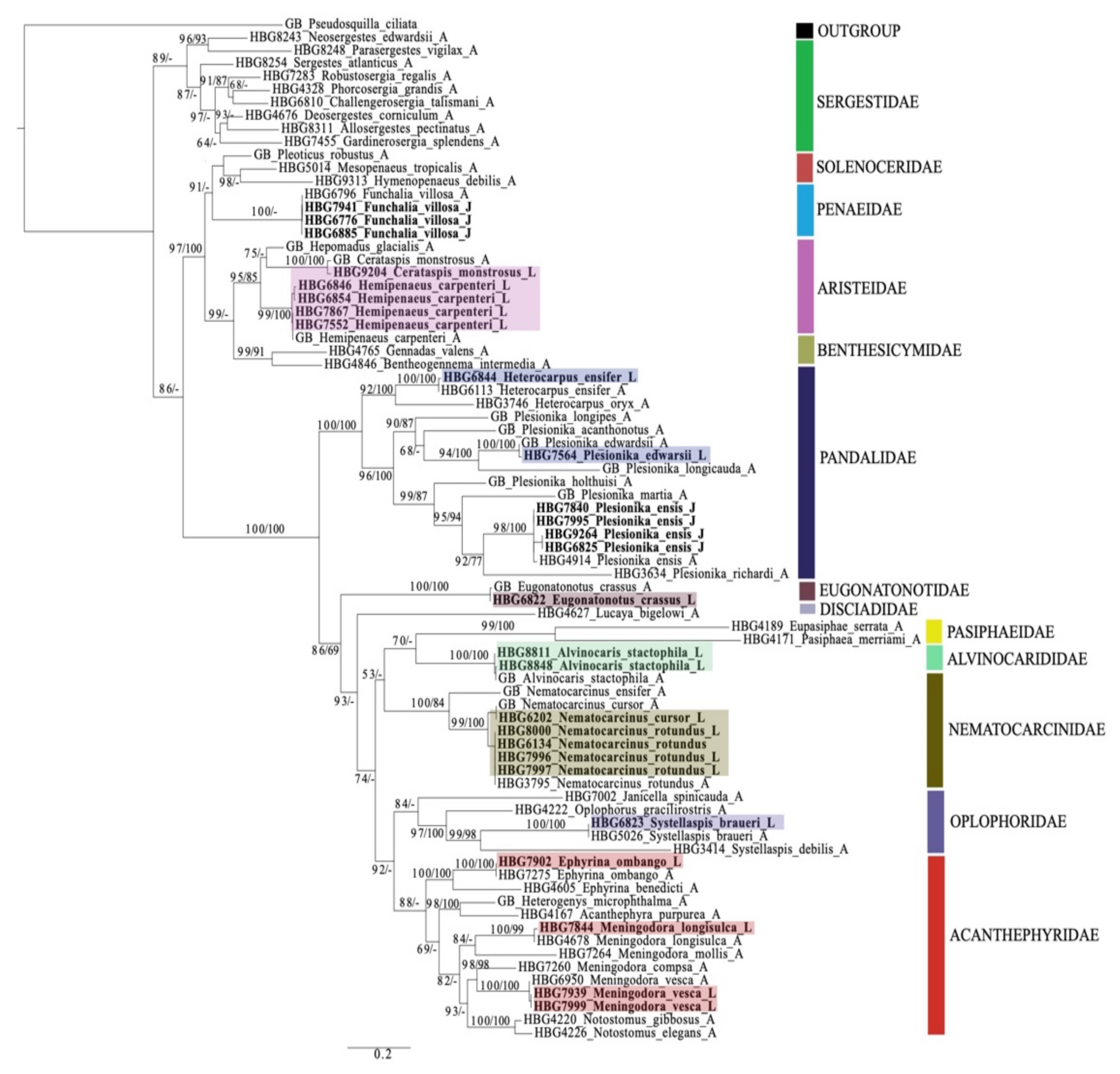 Diversity 13 00457 g003