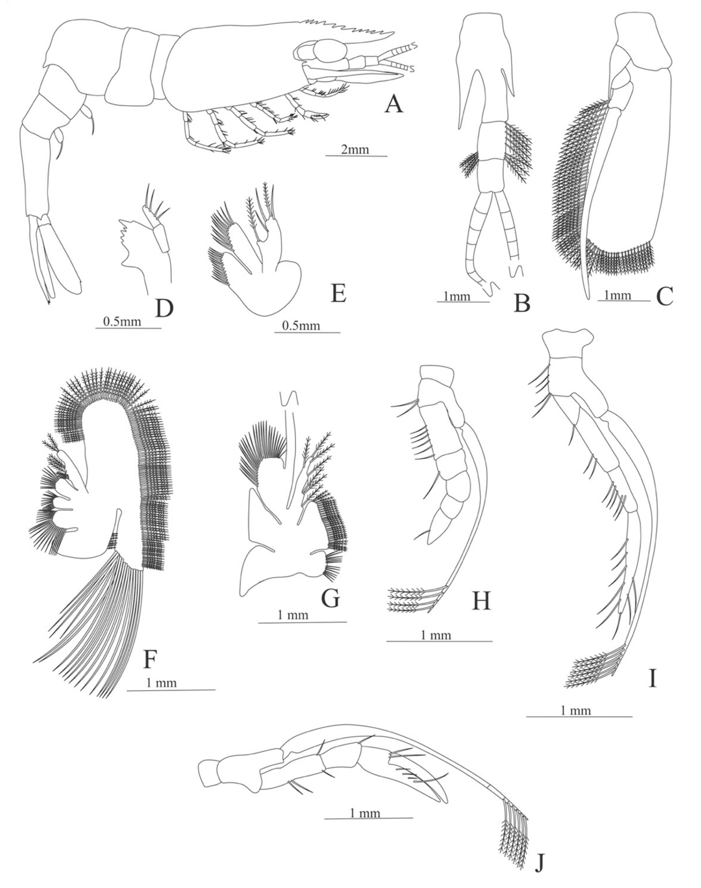 Diversity 13 00457 g008