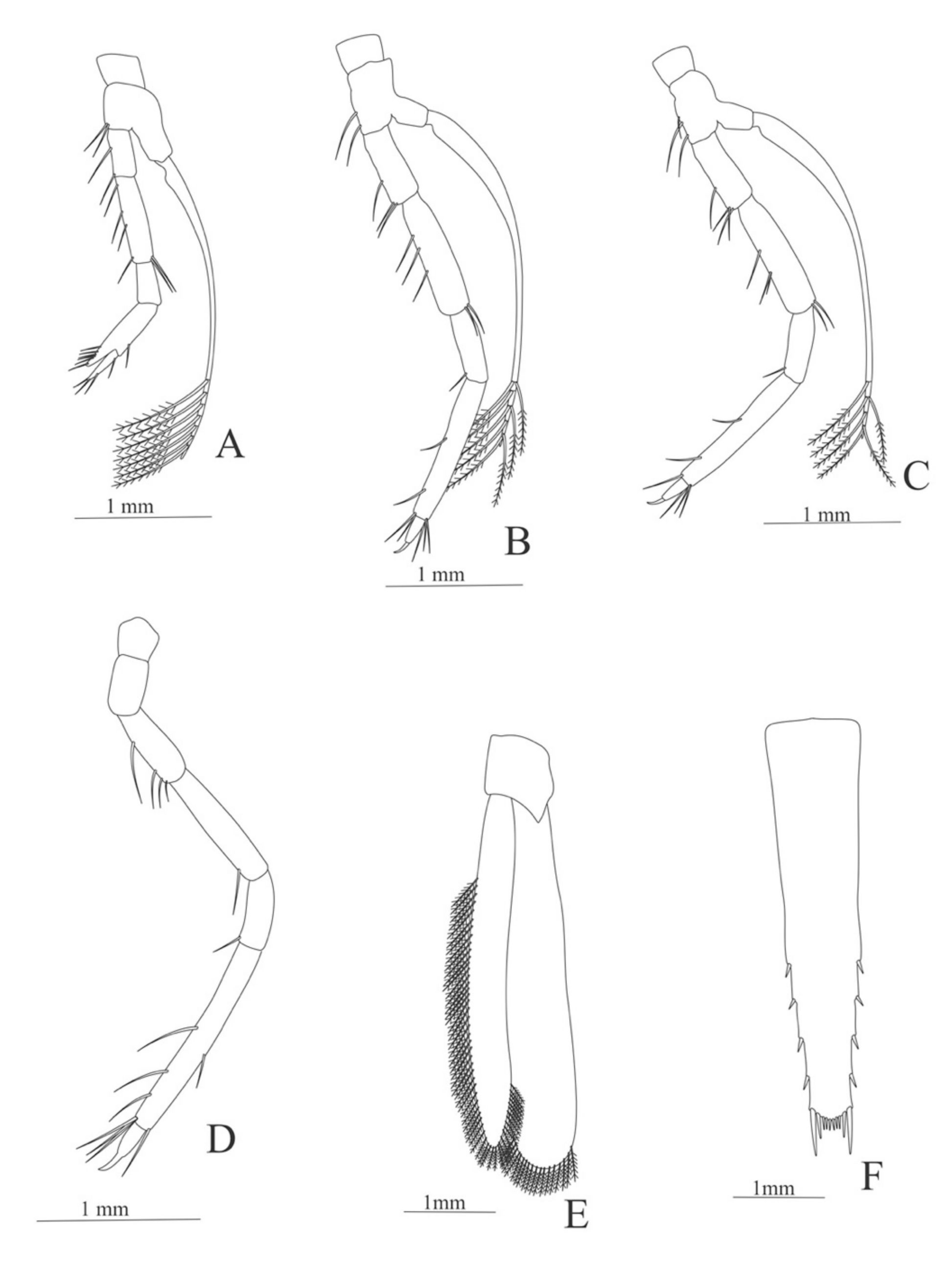 Diversity 13 00457 g009