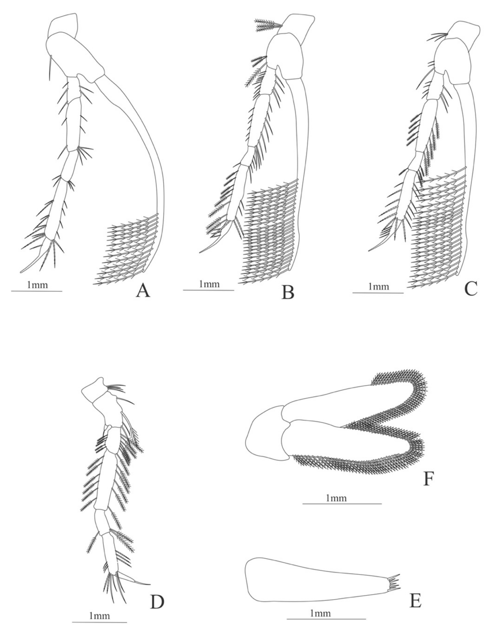 Diversity 13 00457 g011