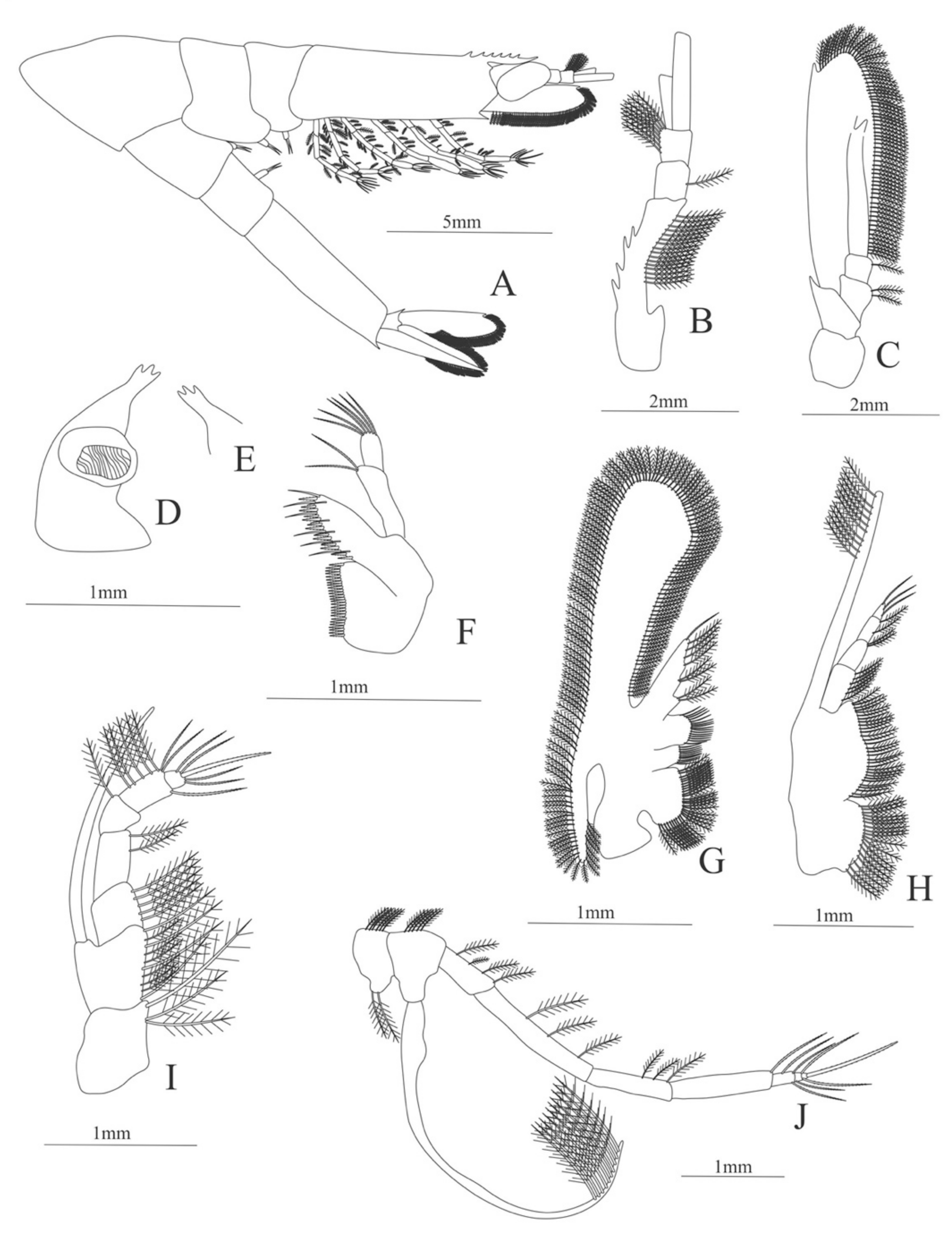 Diversity 13 00457 g012