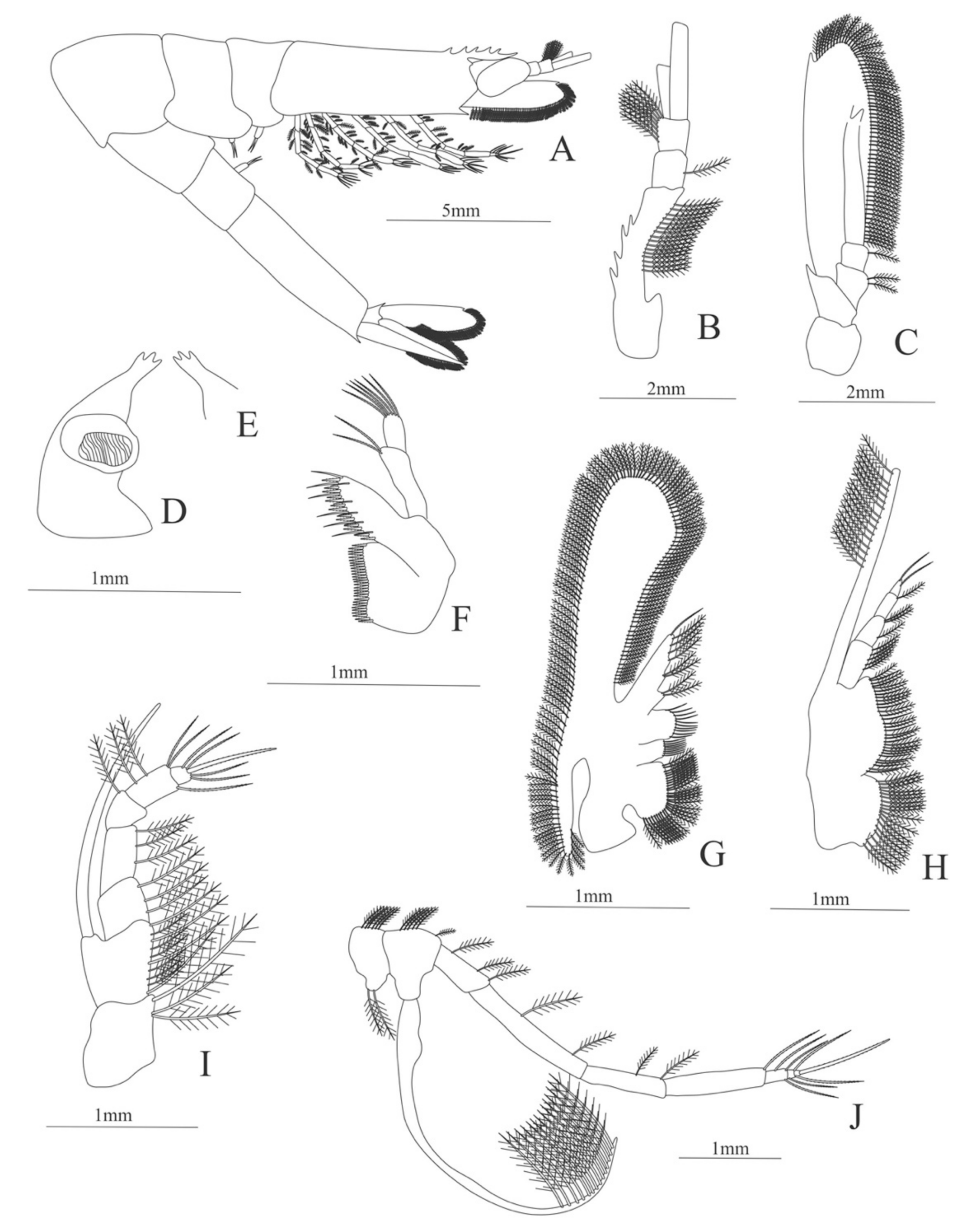 Diversity 13 00457 g014