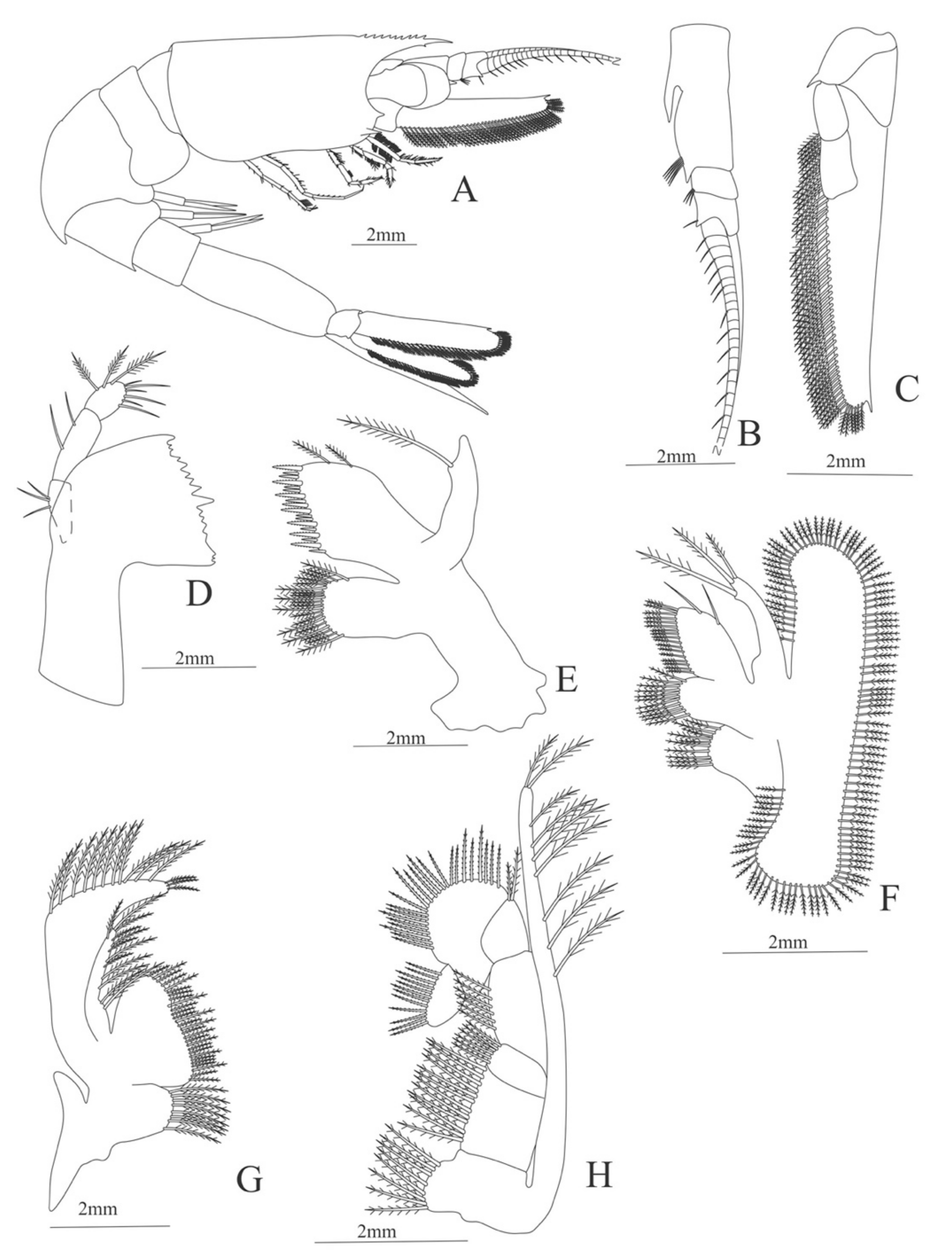 Diversity 13 00457 g017