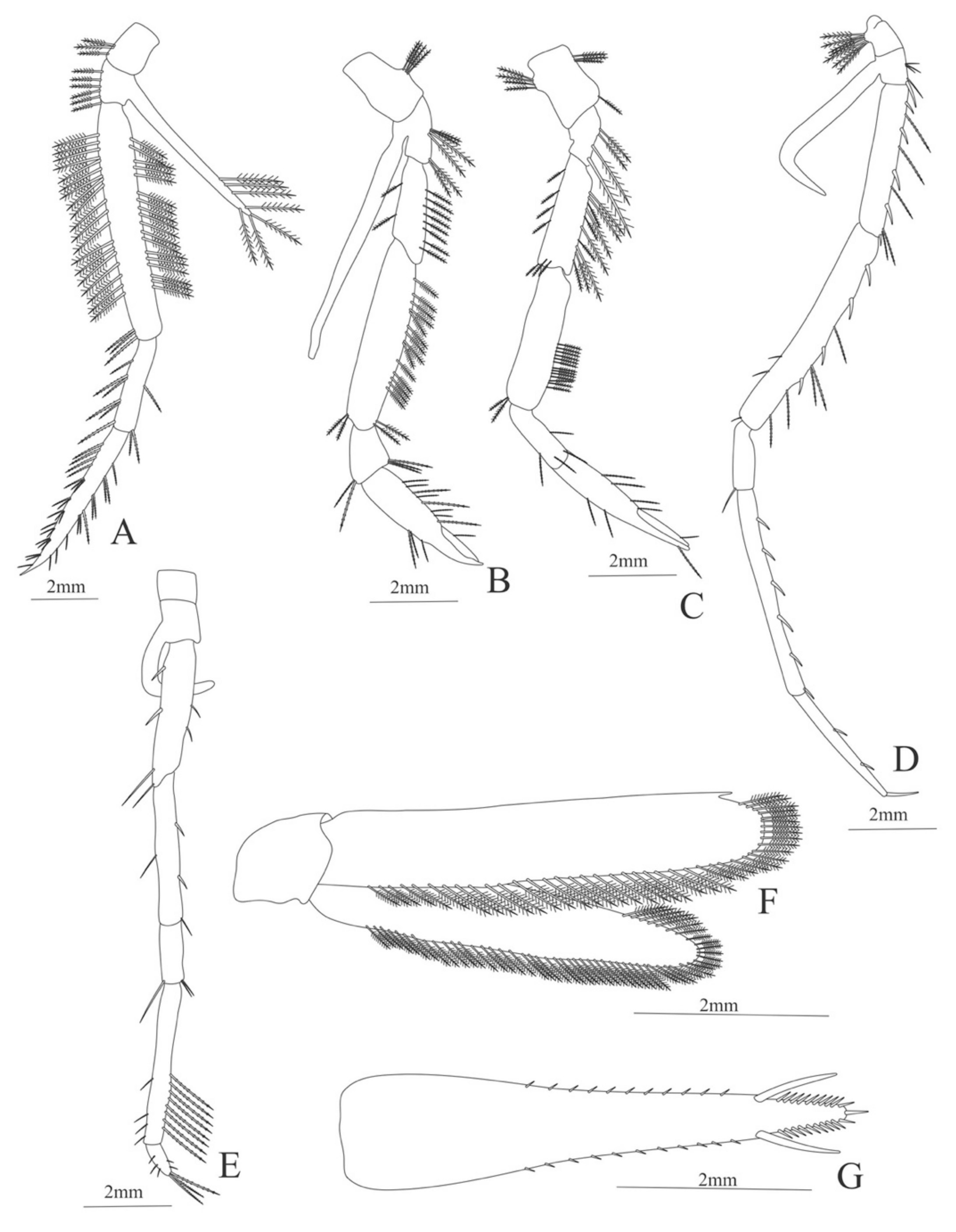 Diversity 13 00457 g018