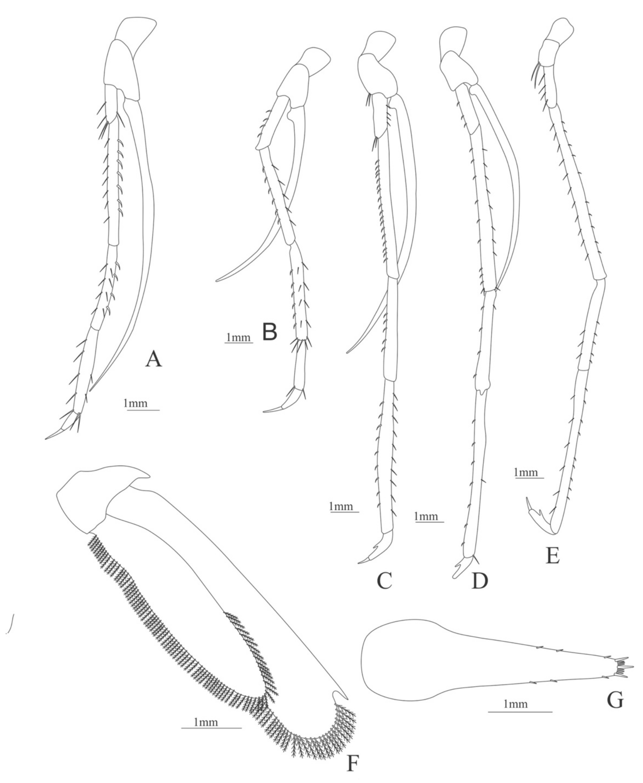 Diversity 13 00457 g022