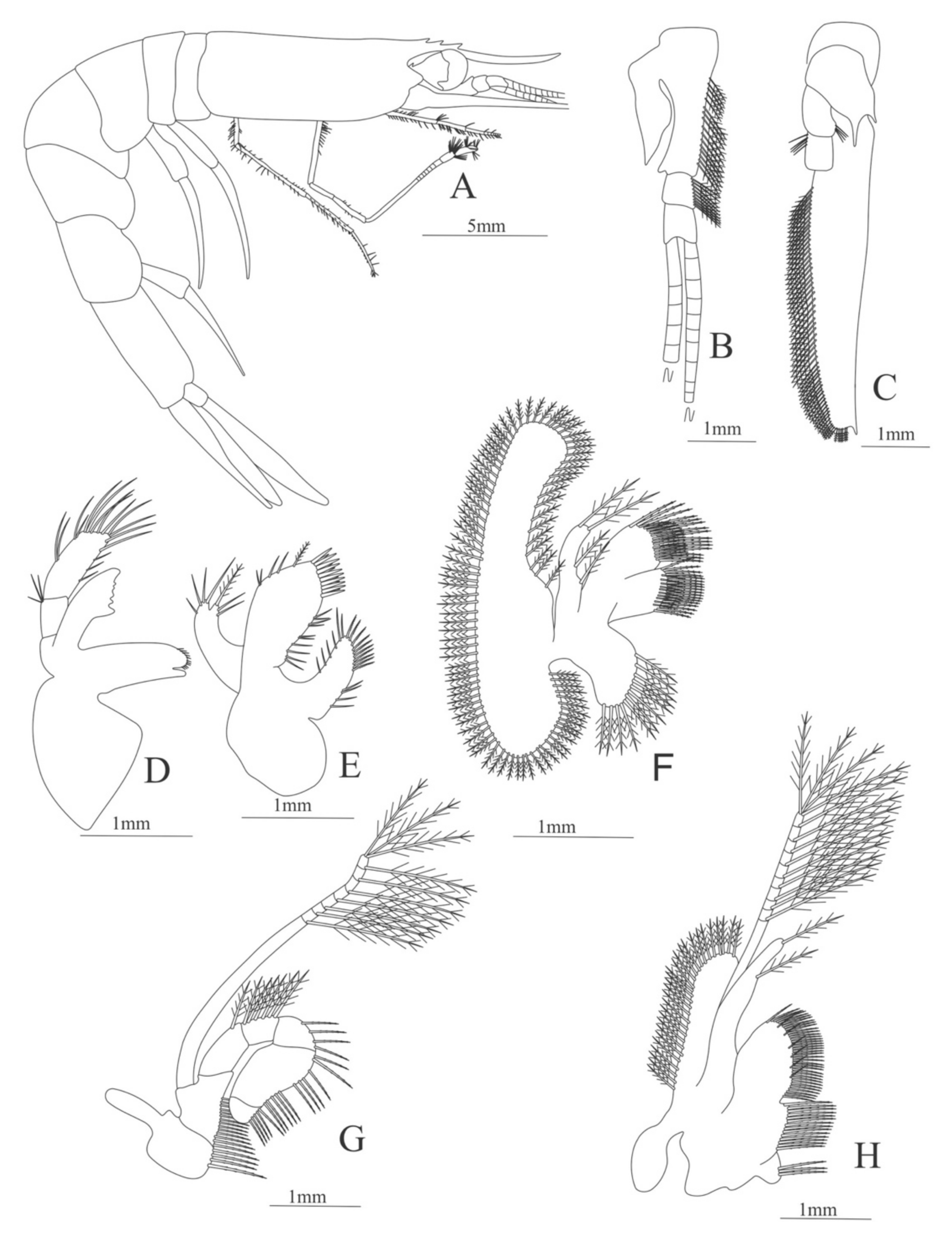 Diversity 13 00457 g023