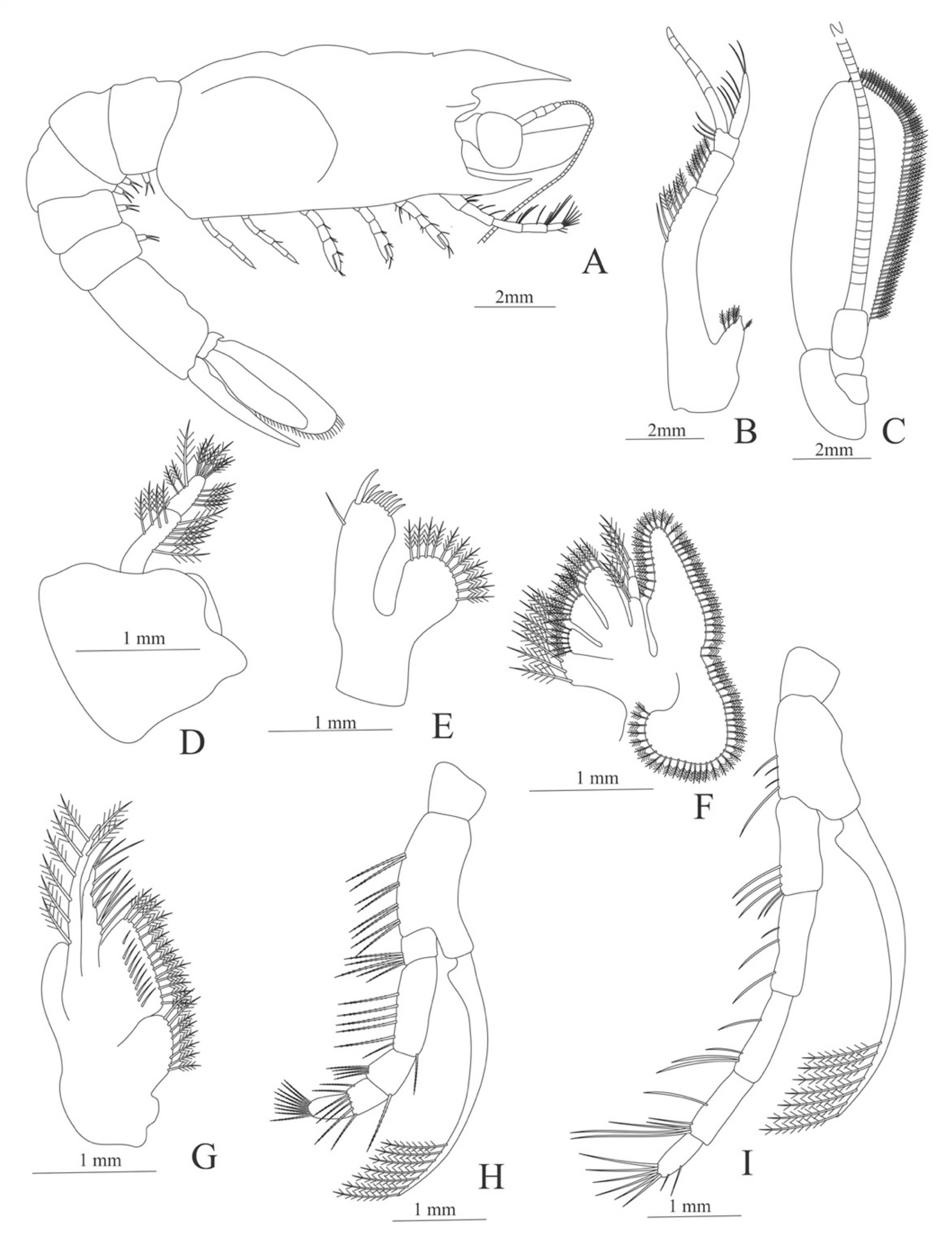 Diversity 13 00457 g027