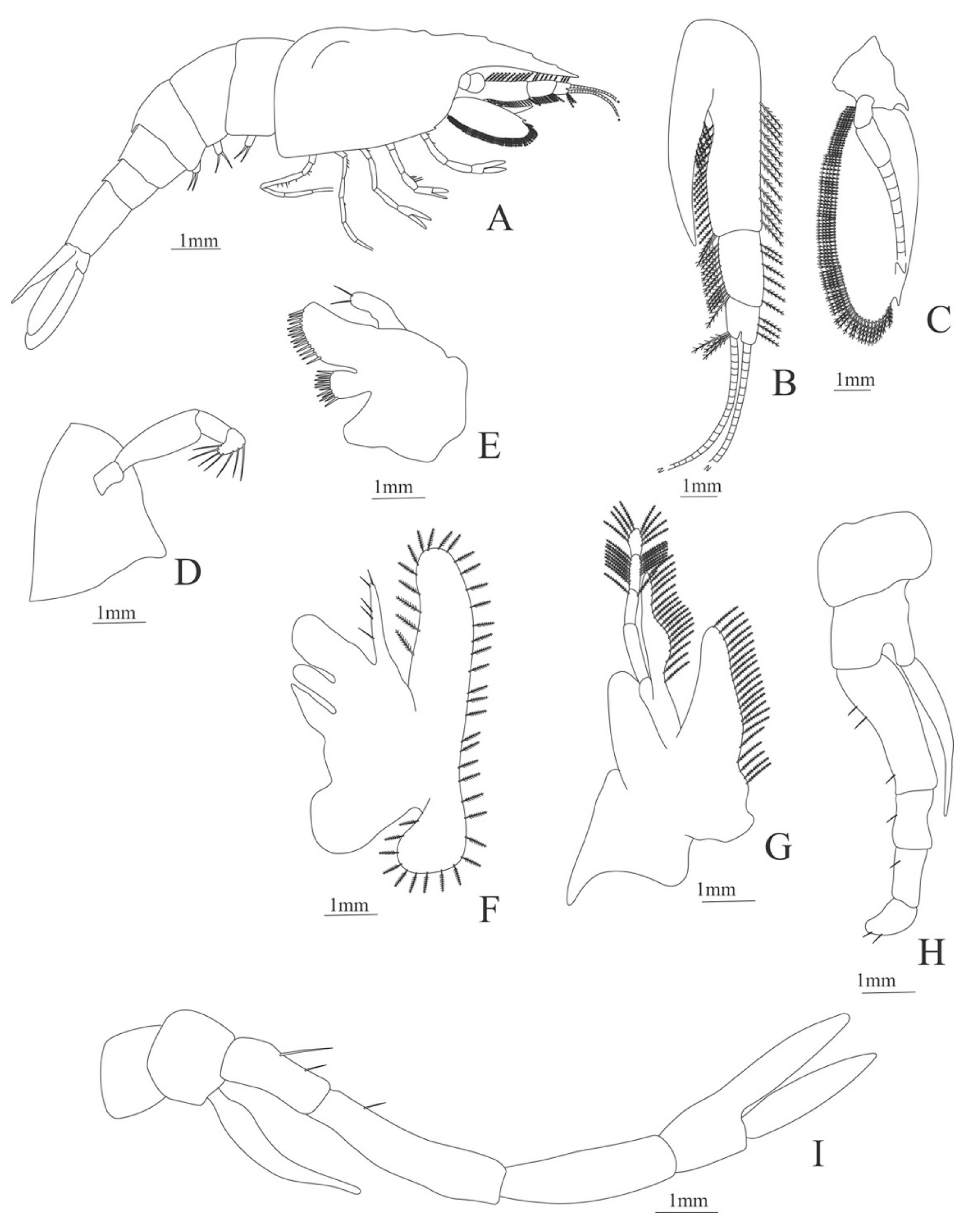 Diversity 13 00457 g029