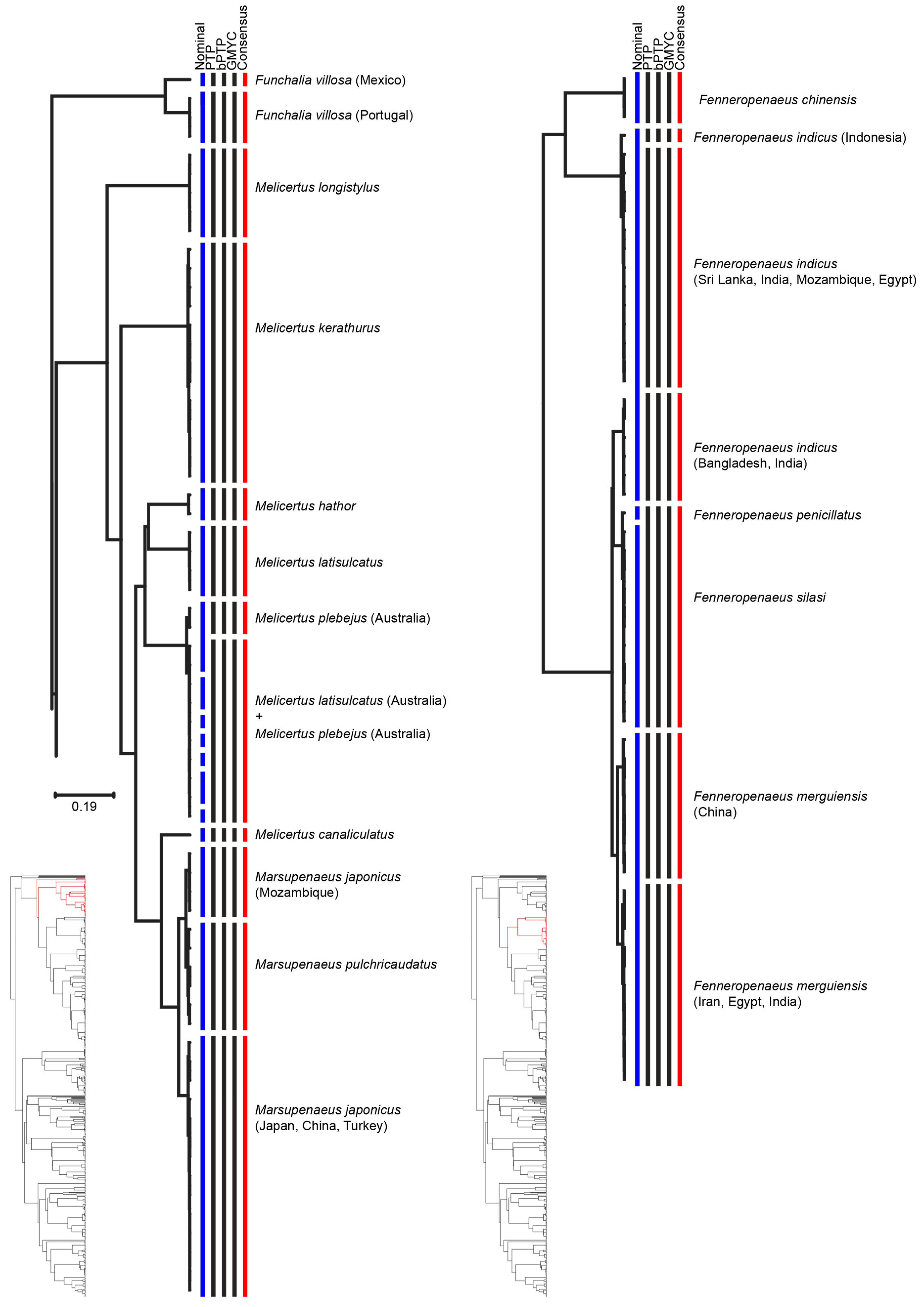 Diversity 13 00460 g001 Diversity 13 00460 g001