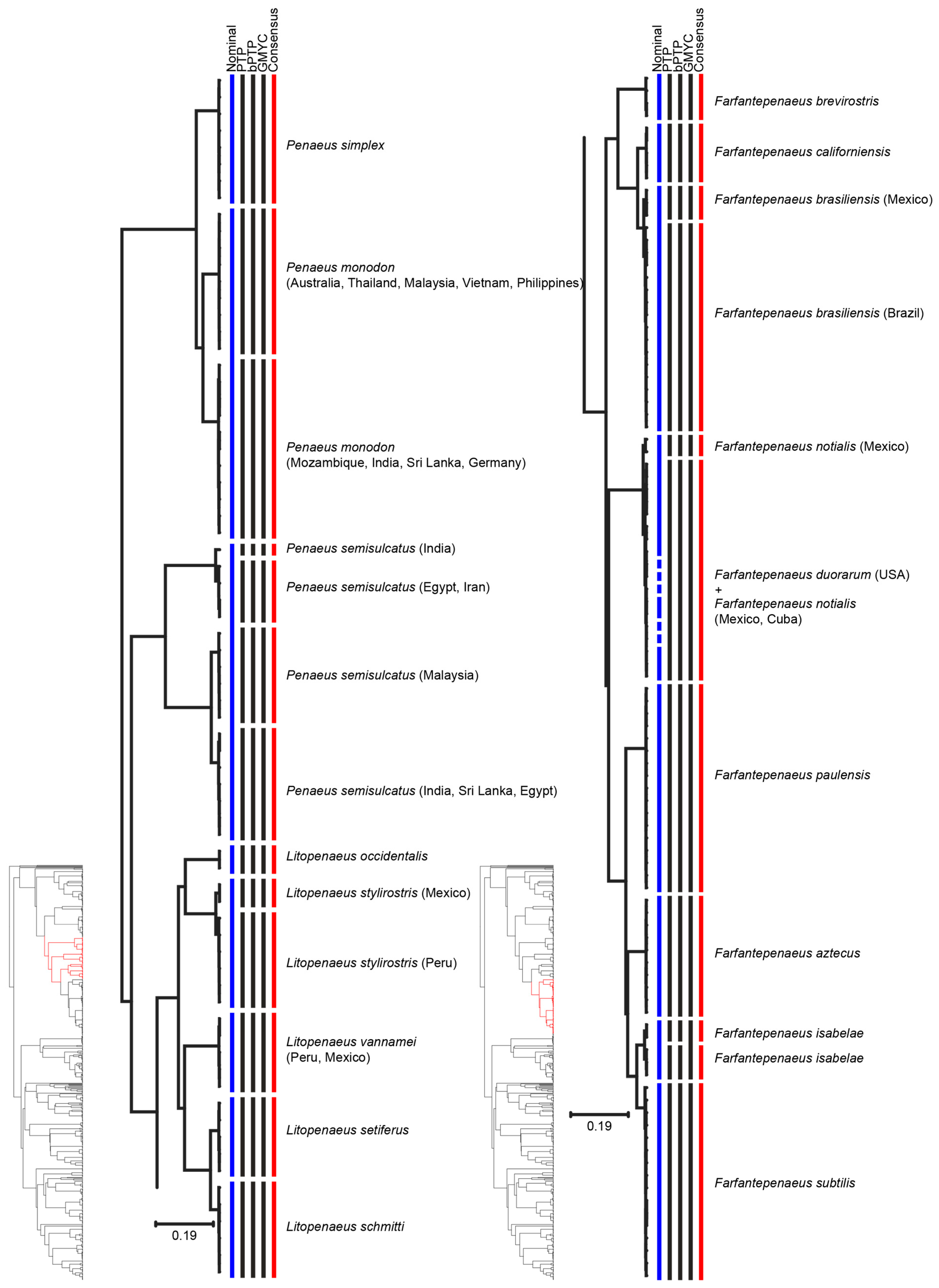 Diversity 13 00460 g002 Diversity 13 00460 g002