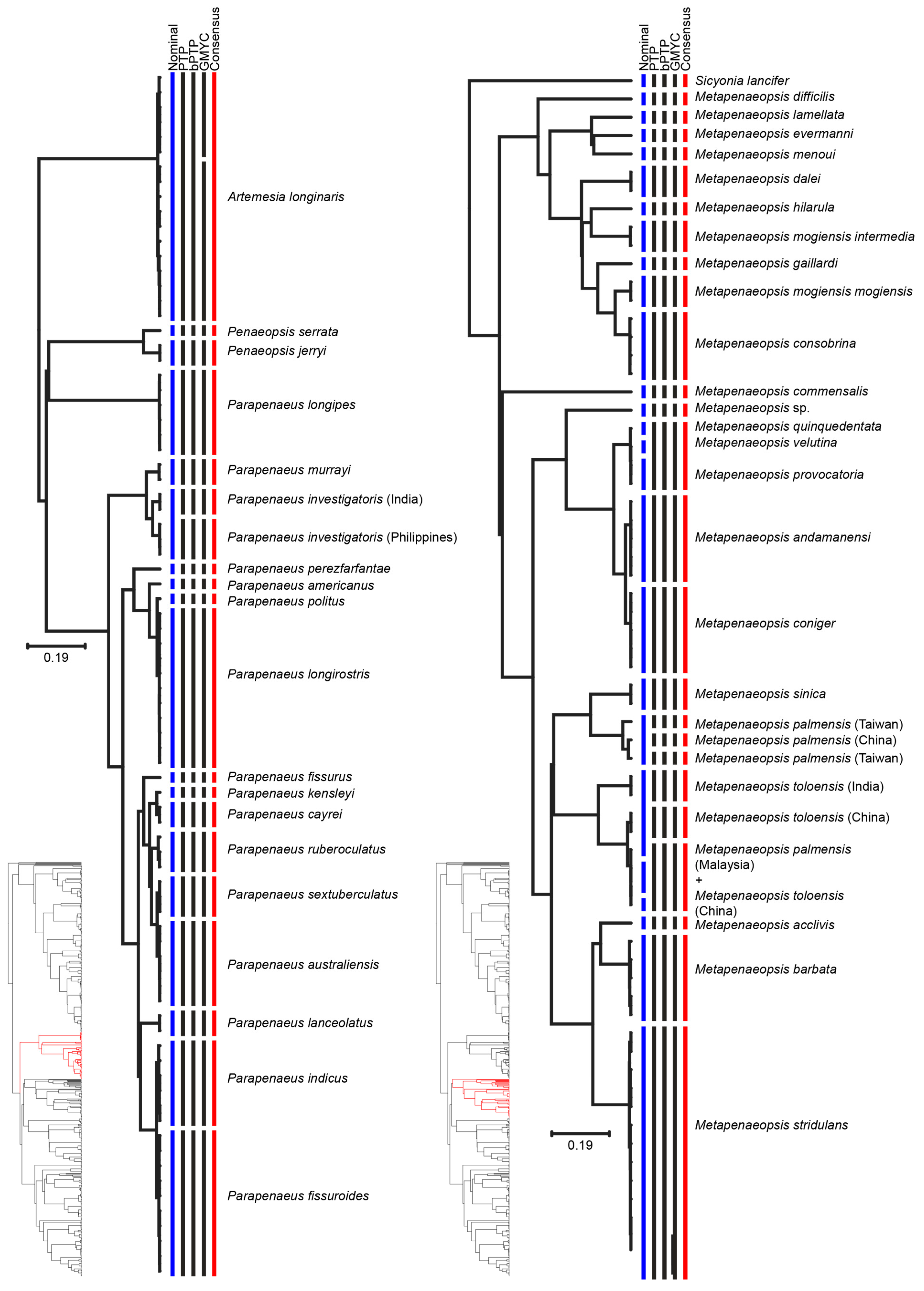 Diversity 13 00460 g003 Diversity 13 00460 g003