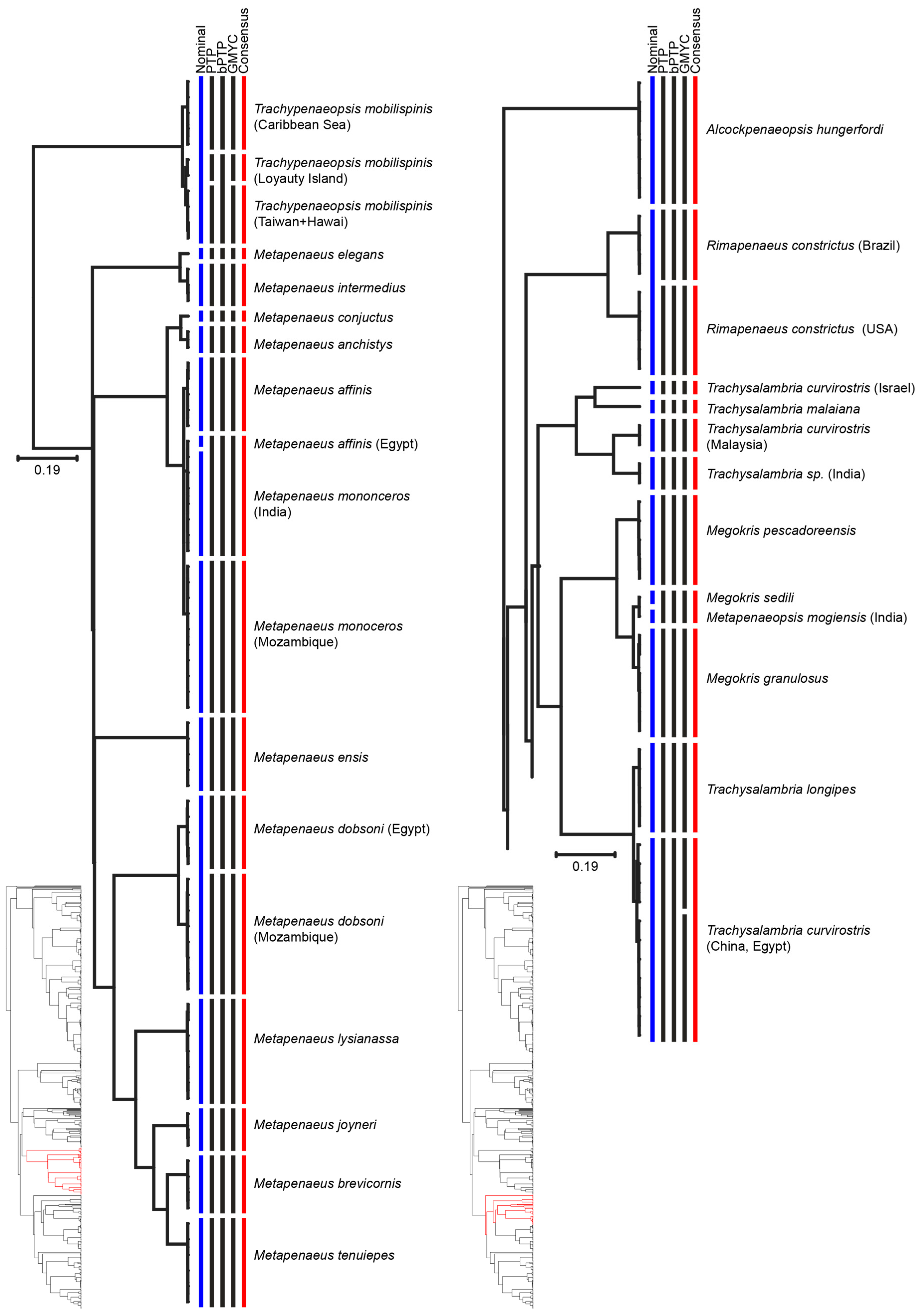 Diversity 13 00460 g004 Diversity 13 00460 g004