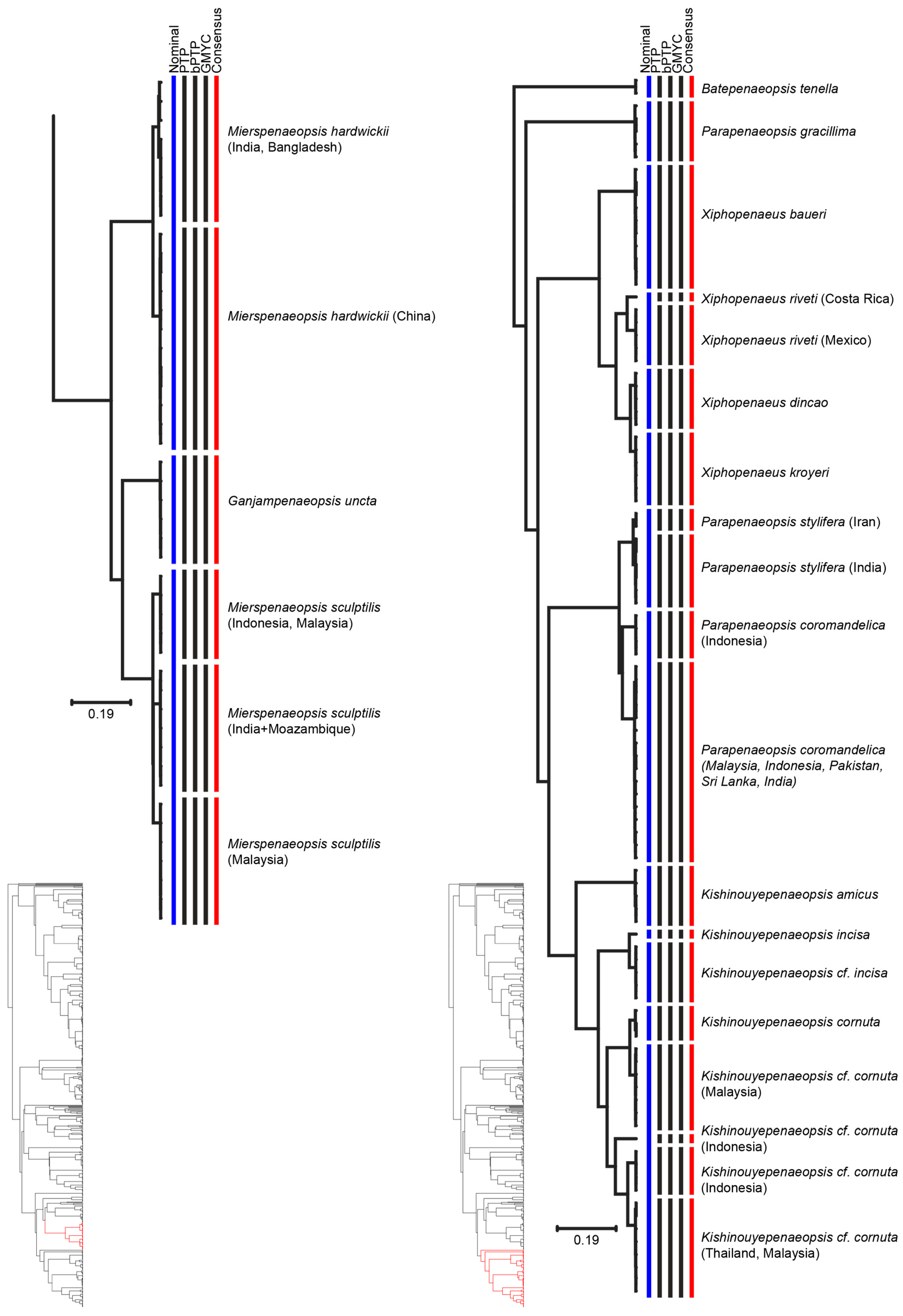 Diversity 13 00460 g005 Diversity 13 00460 g005
