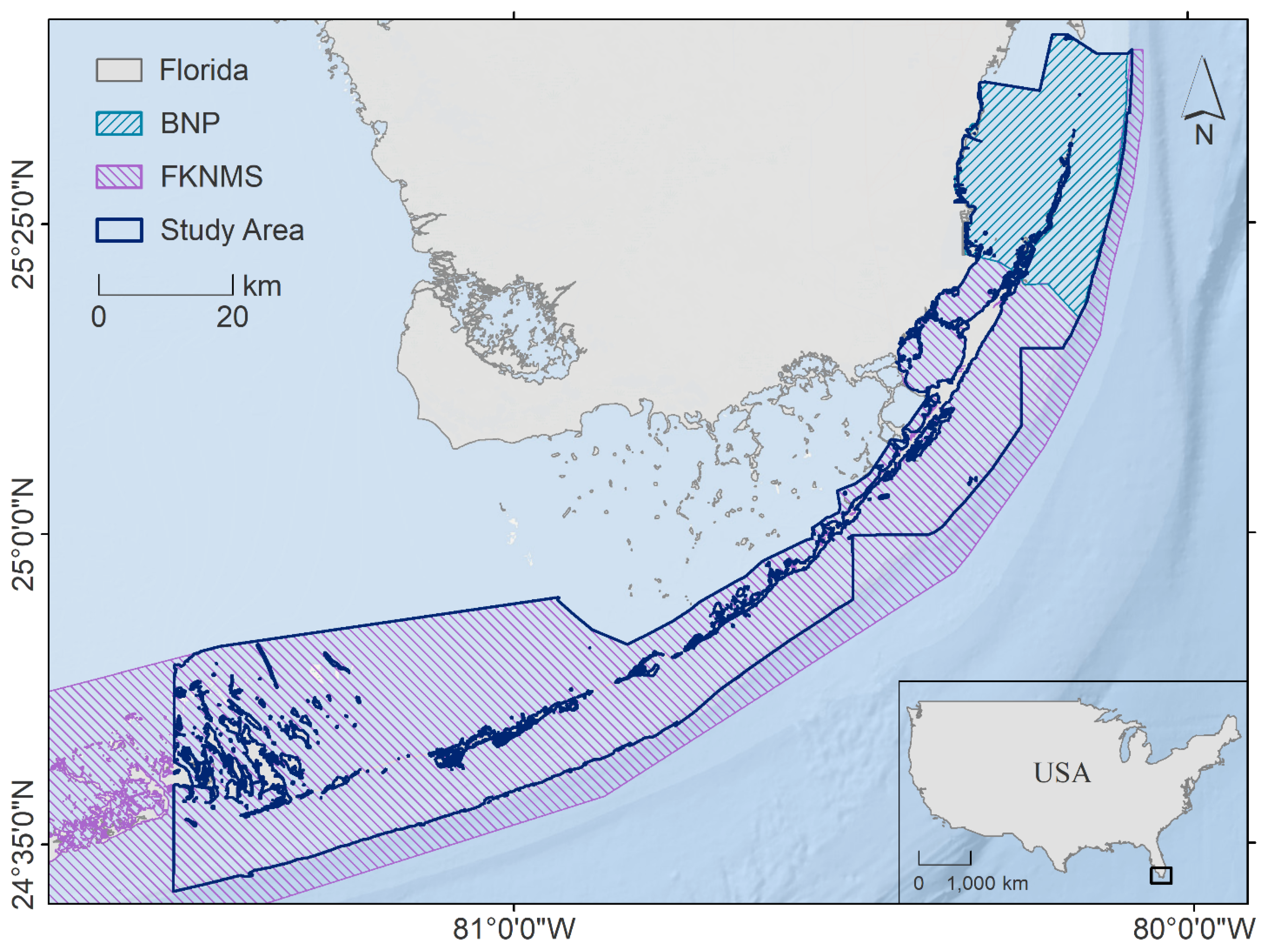 Diversity 13 00465 g001